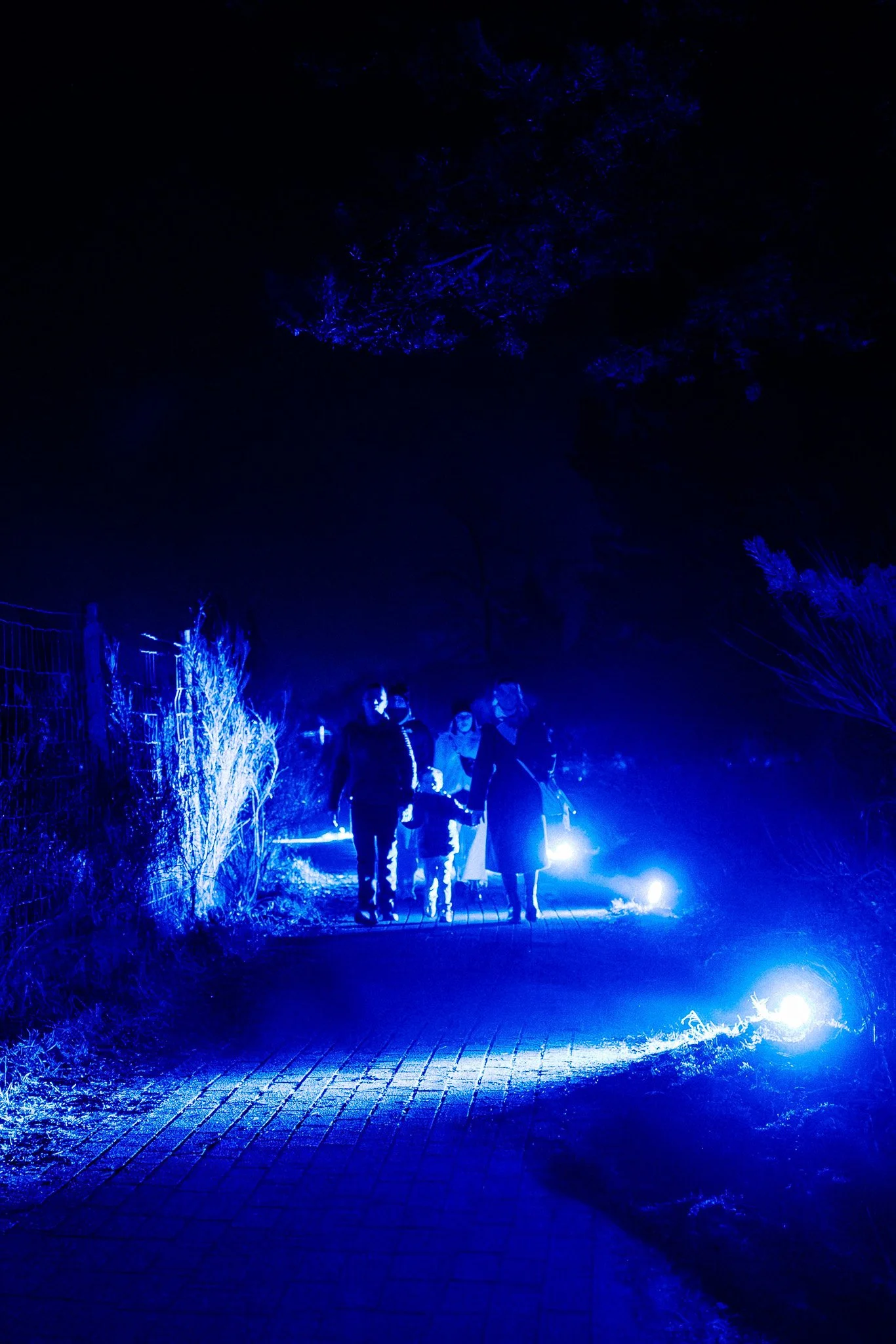 Gezin wandelend in een donker, verlichte omgeving met blauwe lichten, omringd door planten en een pad.