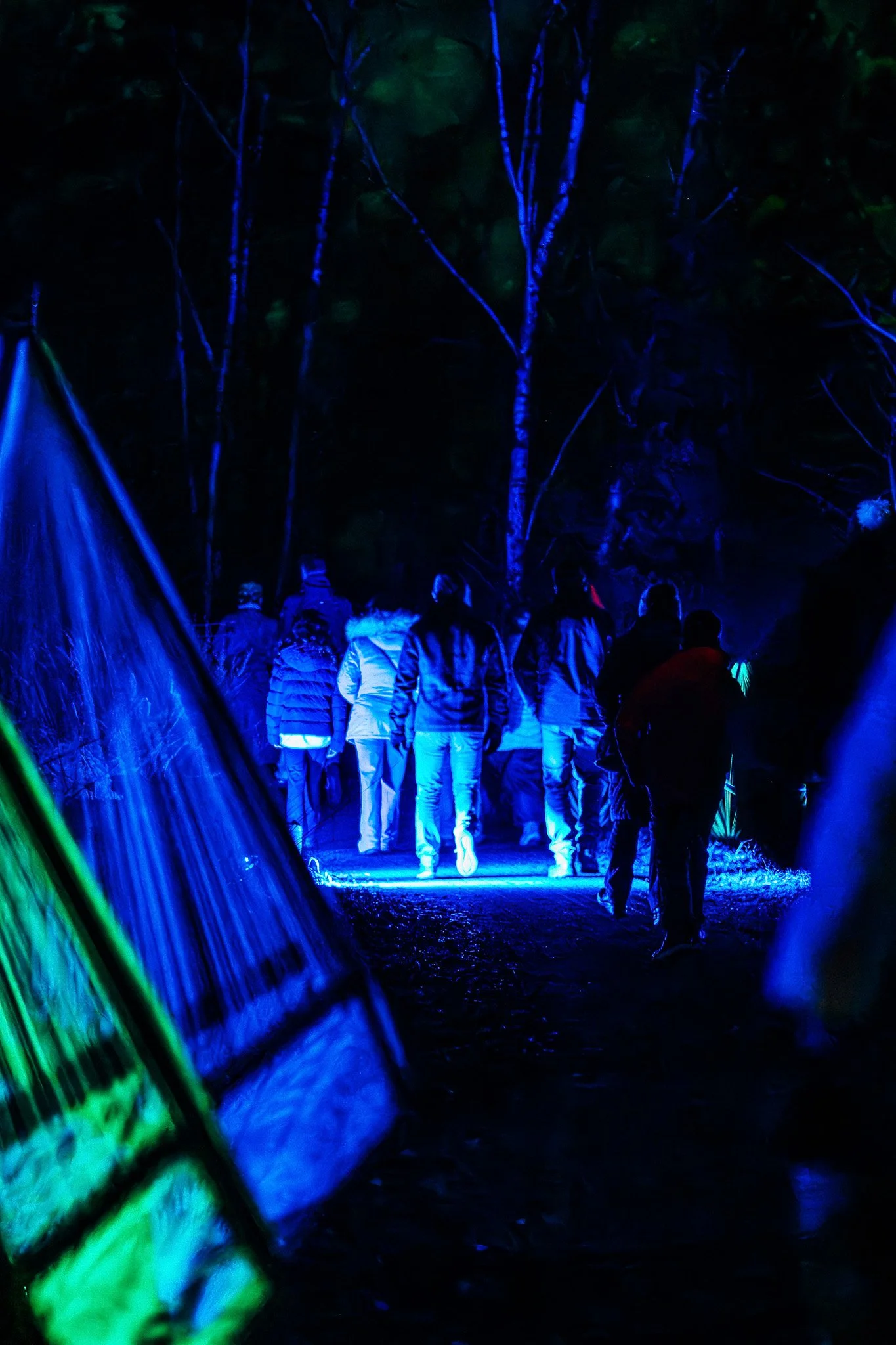Gezicht op een groep mensen die in een donker bos wandelen, verlicht door blauwe en groene lichten, met bomen op de achtergrond.