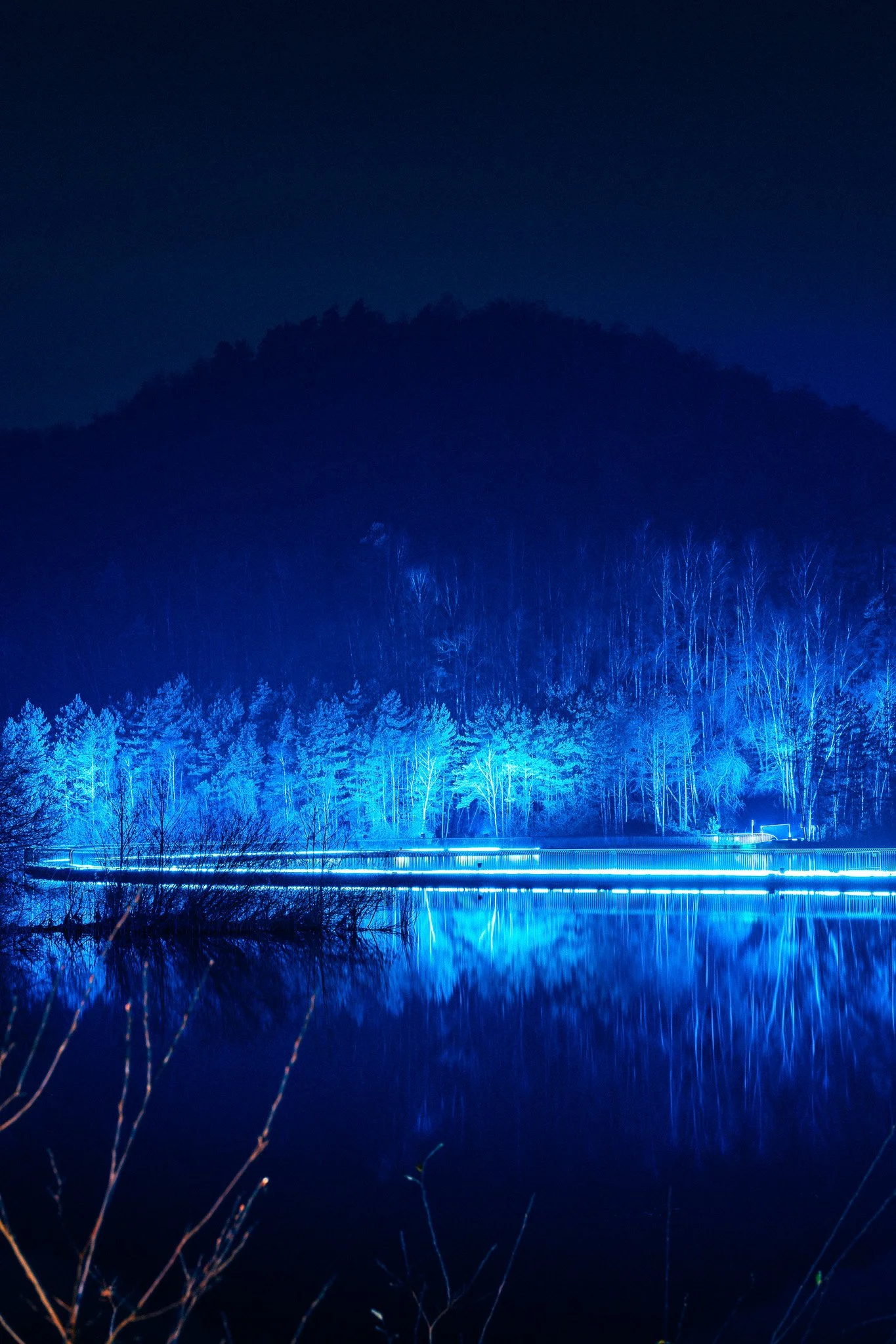 Een nachtzicht van een bos met blauwe verlichting en een stil meer dat de lichtreflecties weerkaatst.