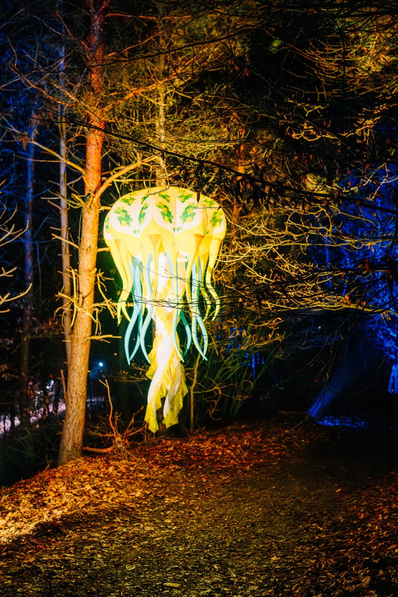 Een verlichte lantaarn in de vorm van een zeester met groene bloemmotieven, hangend tussen boomtakken in een donker bos bij nacht, met bladeren op de grond.