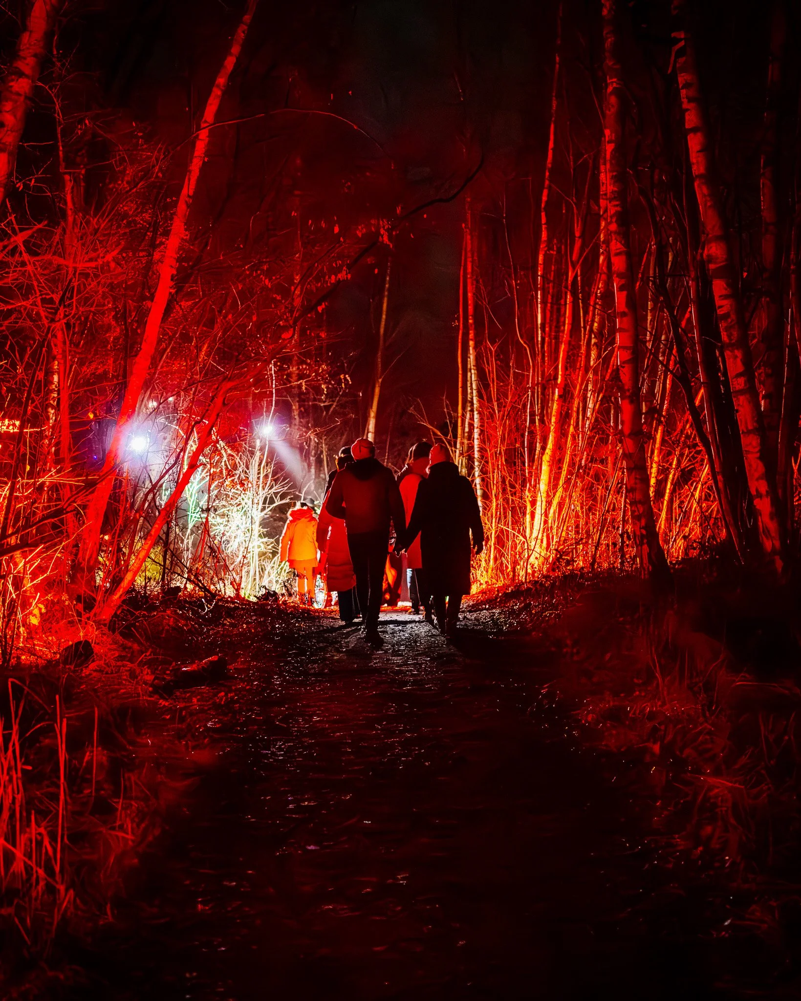 Mensen lopen door een bos met bomen die fel verlicht zijn in rood en oranje, mogelijk door vuur of artistieke verlichting, 's nachts.