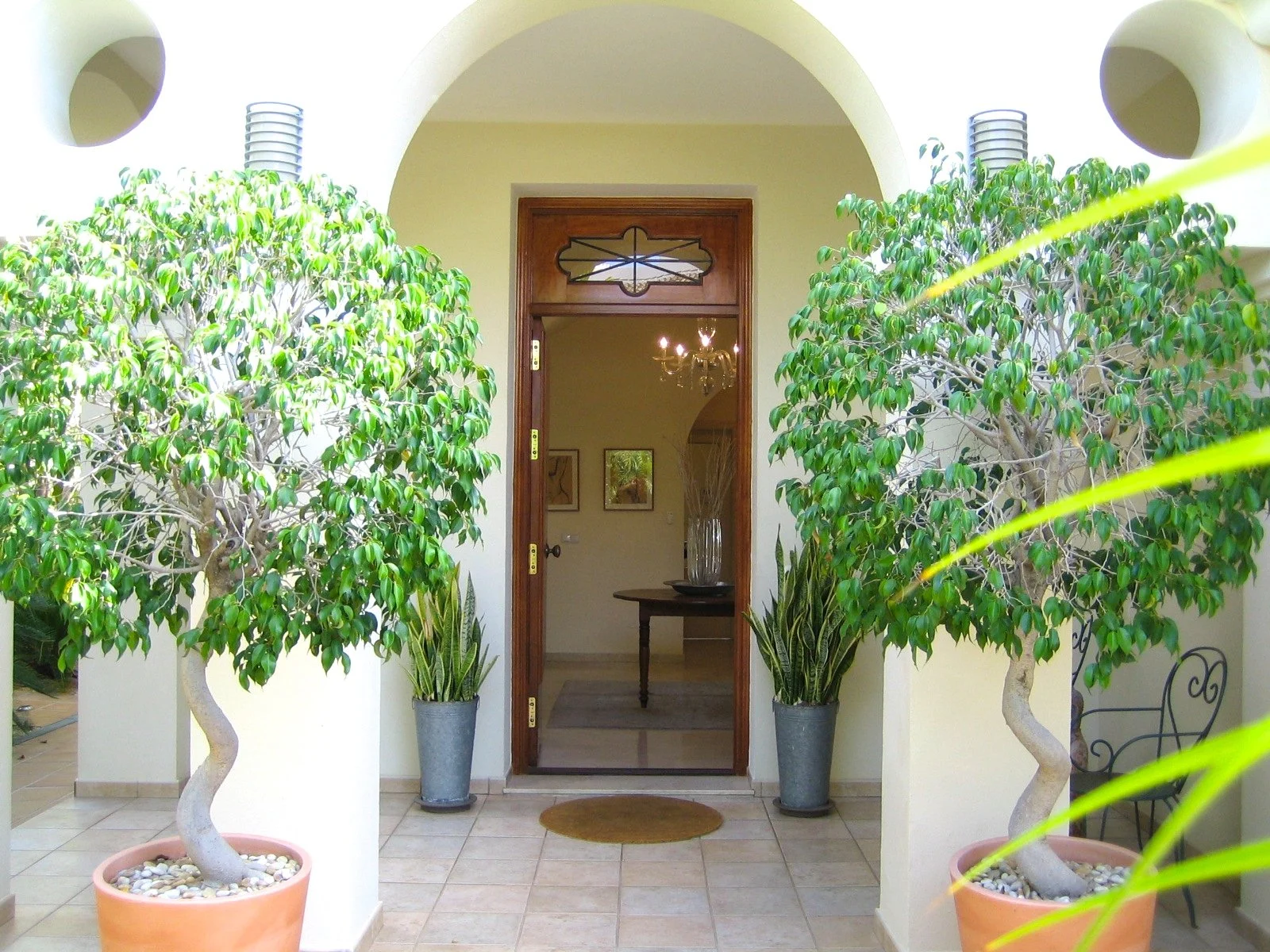 Marbella Villa Ben Burke (1).JPG