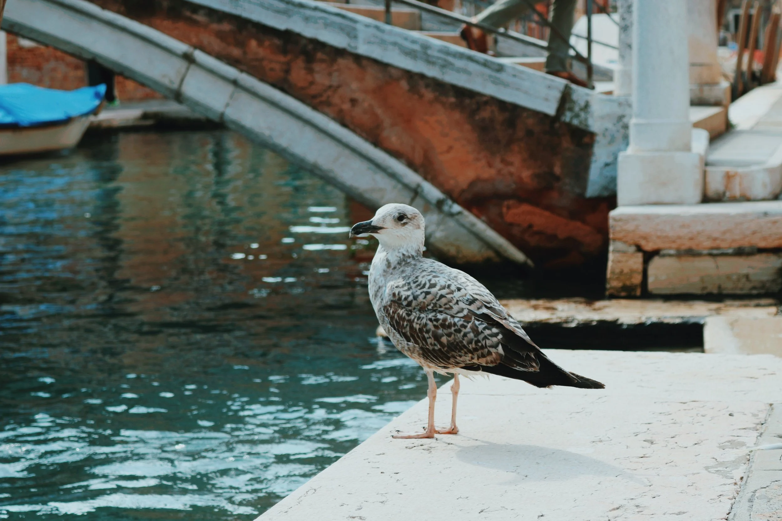 photo-output_1 2.JPEG