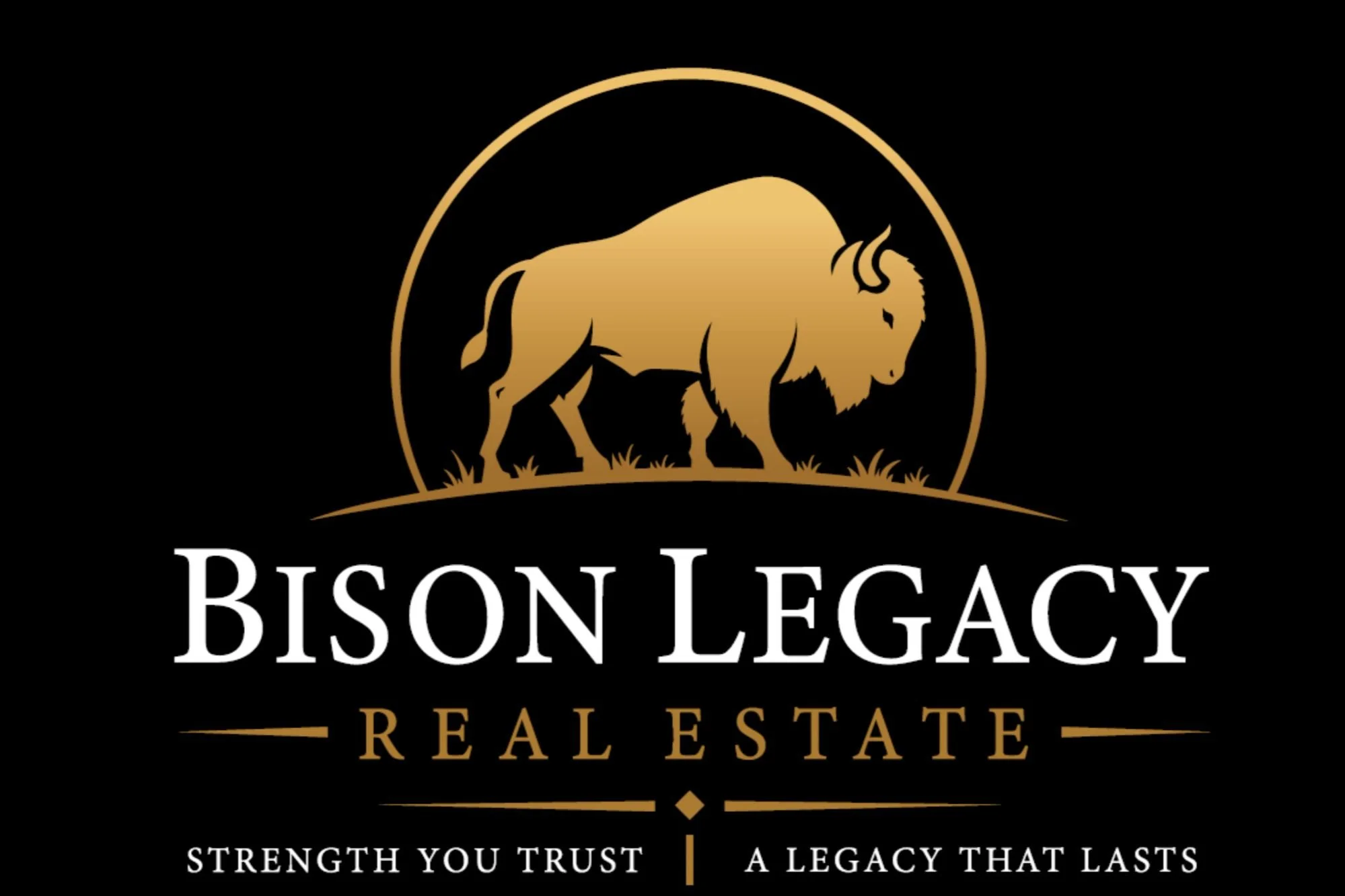 Bison Legacy Real Estate LLC