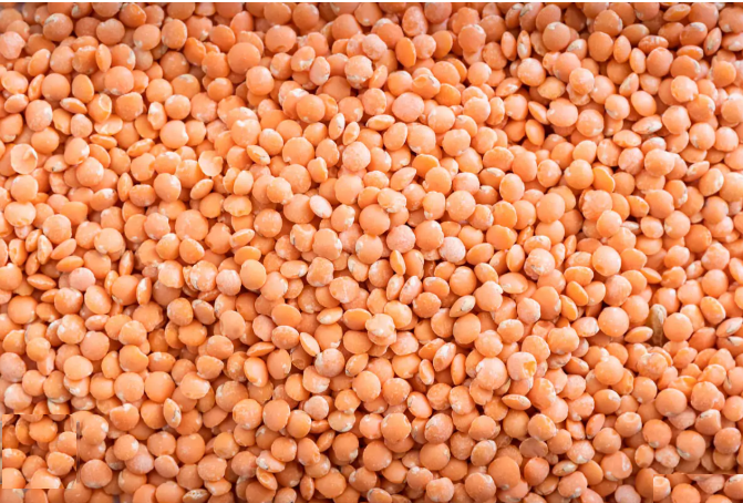 Red+lentiles+.png