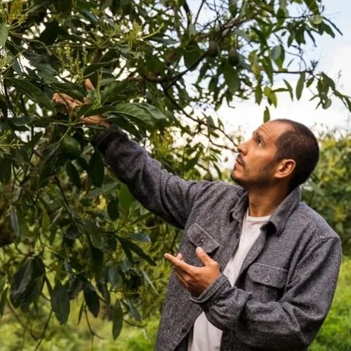 José González - Chef | AL MERCAT 