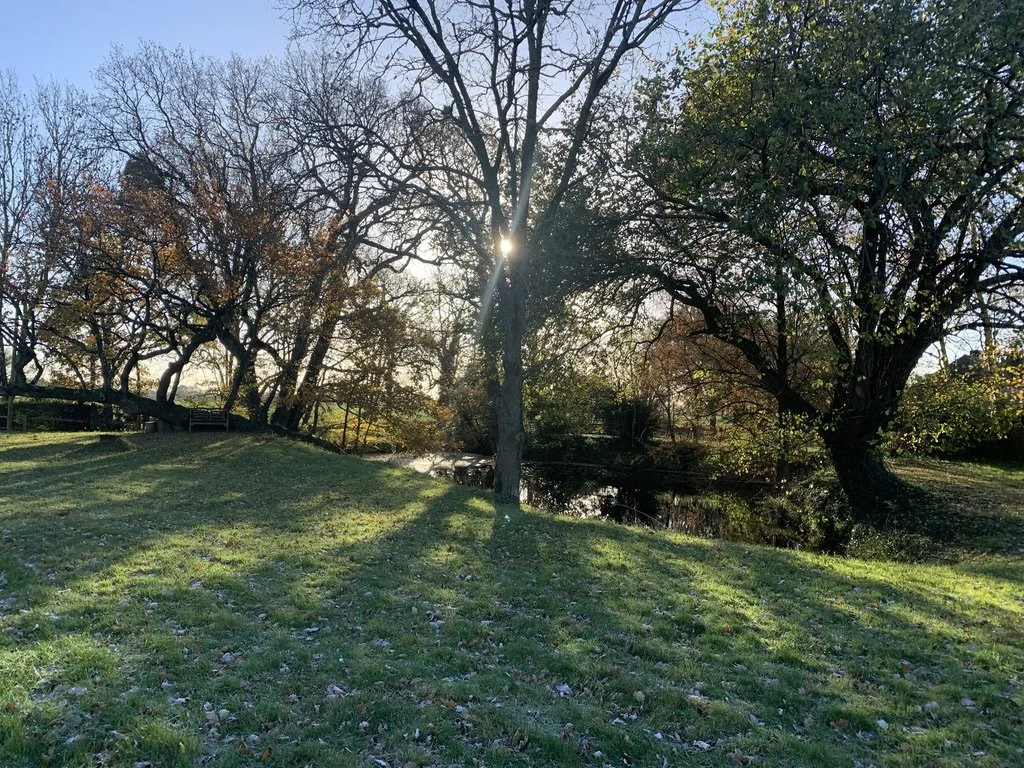 The Sussex Granary Pond.jpeg