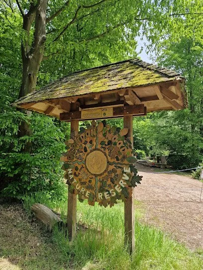 Place To Be at Parndon Wood: How Harlow’s Ancient Woodland Inspires the Sculpture Project