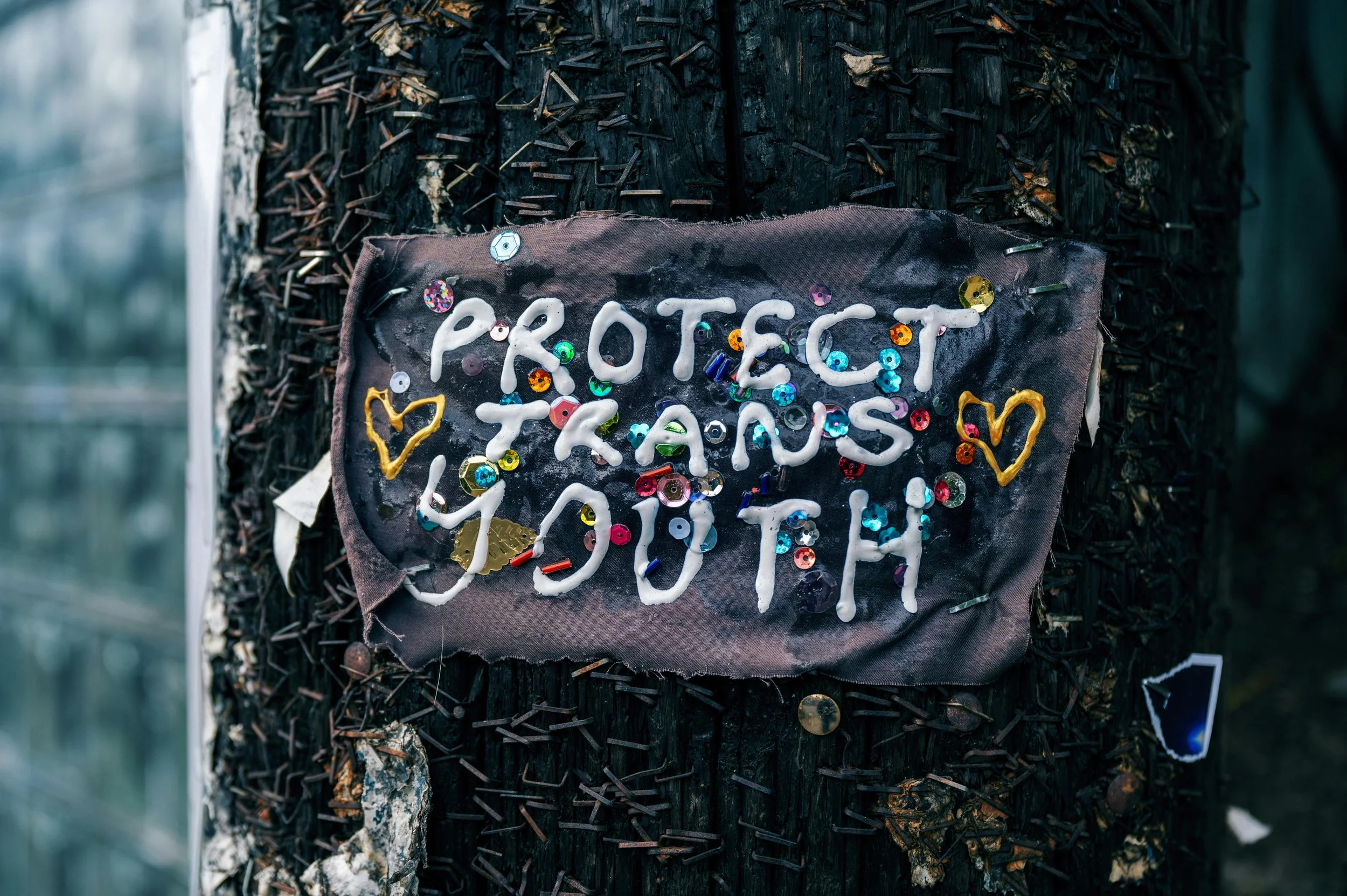You Will Not Be Erased: An Open Letter to Trans and GNC Young People