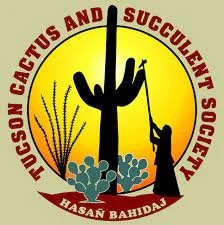 tucson cactus and succulent.jpg