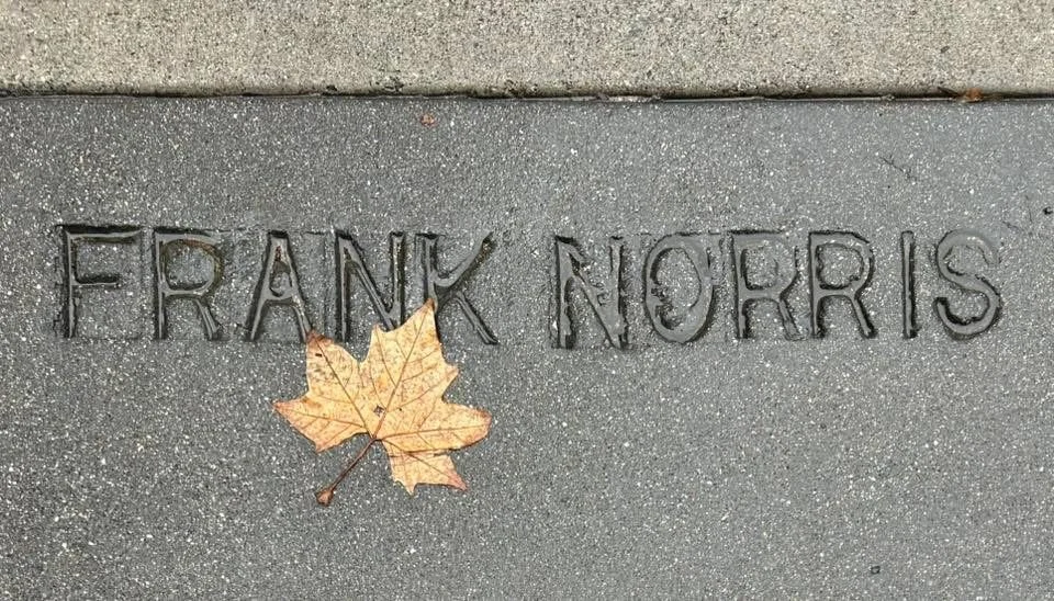 A sidewalk with engraved text, 'FRANK NORRIS,' and a fallen maple leaf resting on the grass and concrete.