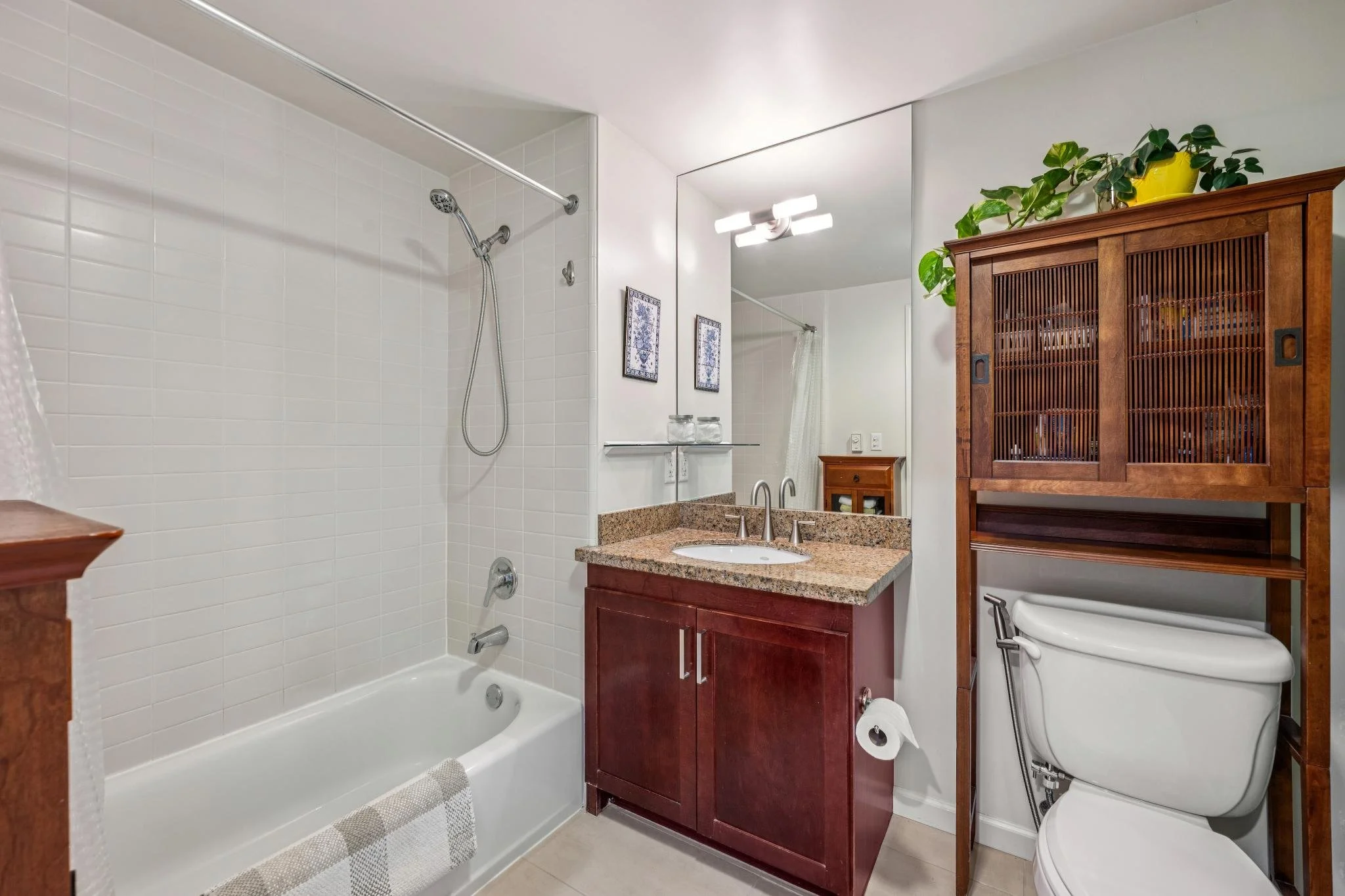 Bathroom with bathtub and shower on the left, a vanity with a sink in the center, and a toilet with a wooden cabinet above on the right. There are framed pictures on the wall and plants on top of the cabinet.