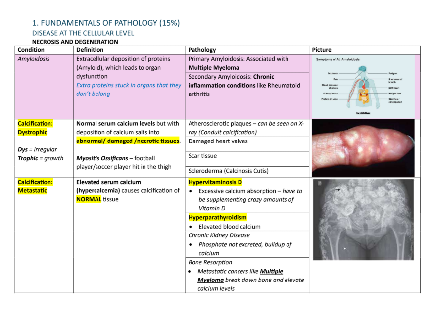 Screenshot 2026-01-06 225143.png