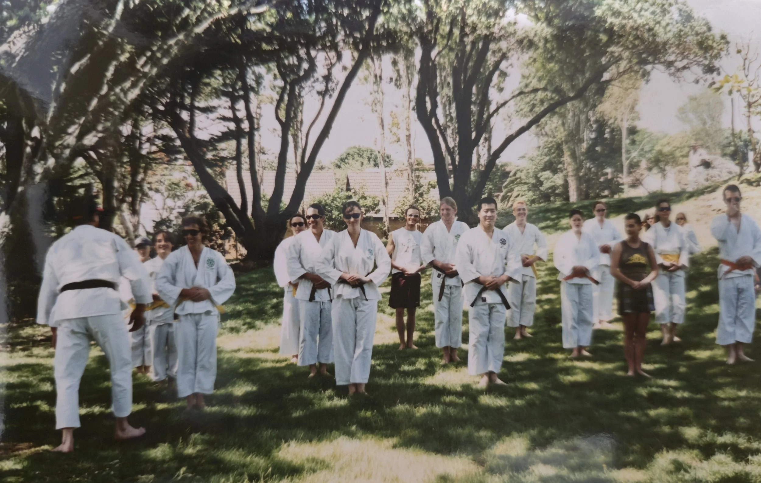 People practicing martial arts outdoors in a grassy park with large trees in the background.
