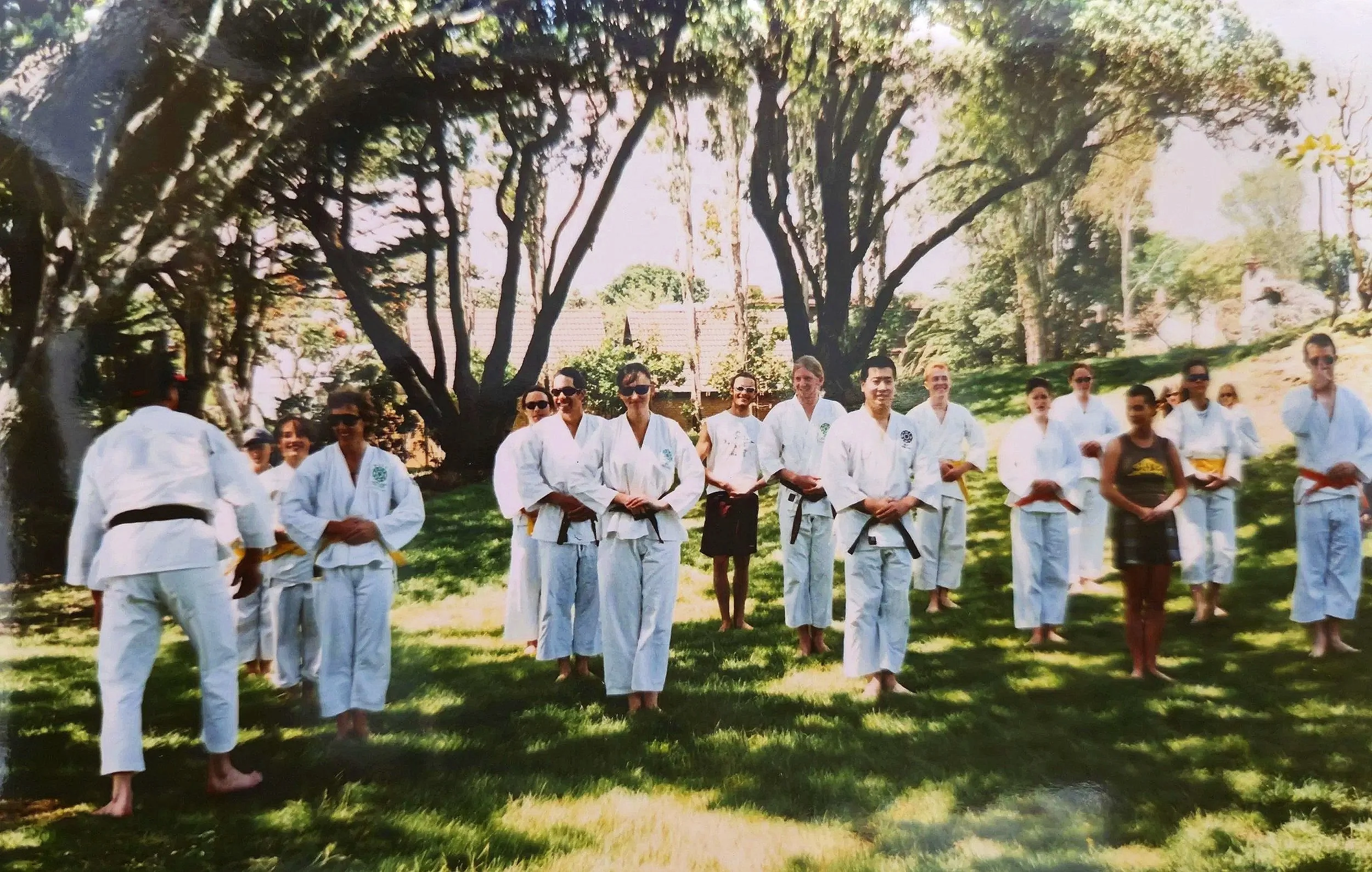 Group of people practicing martial arts outdoors on a grassy area with large trees in the background.