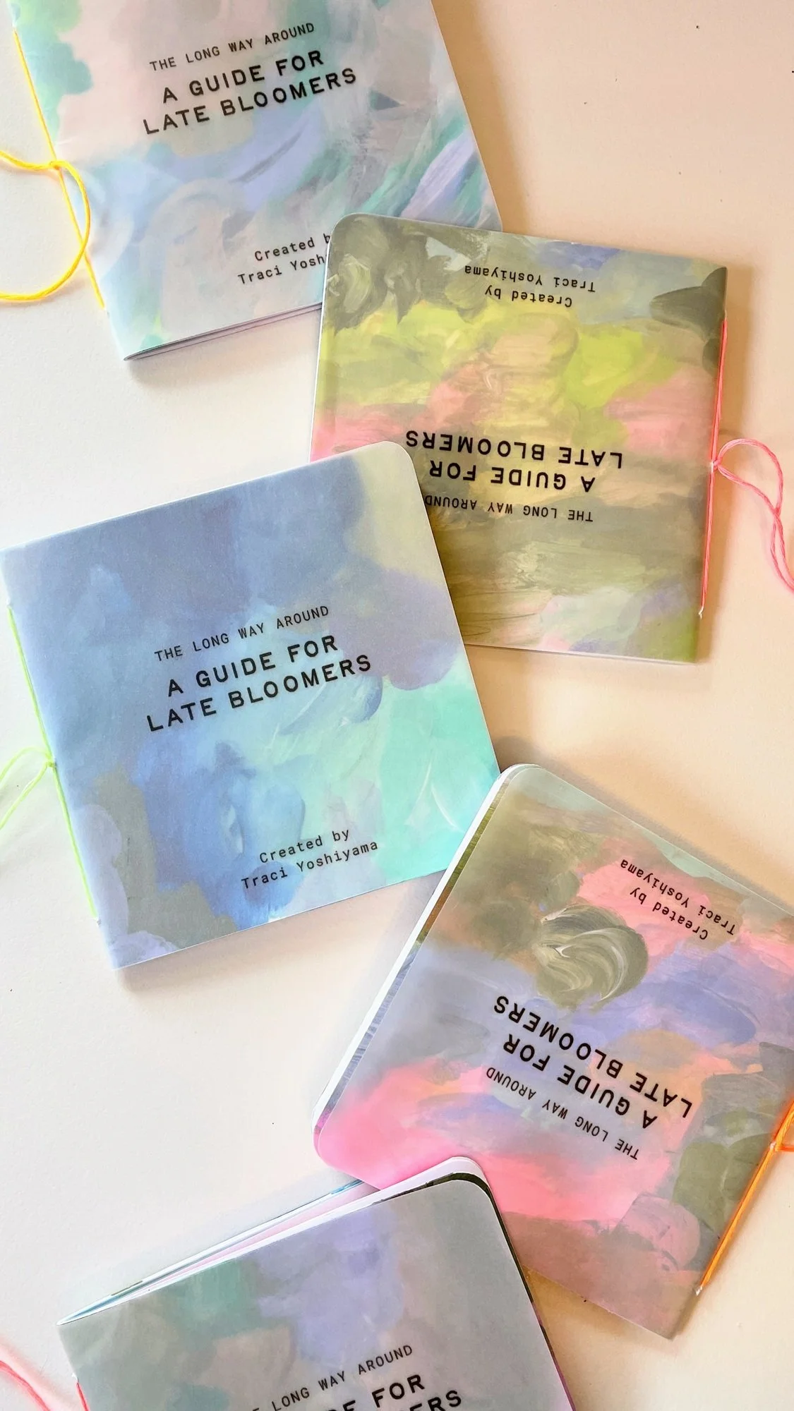 The Long Way Around | A Guide for Late Bloomers Zine