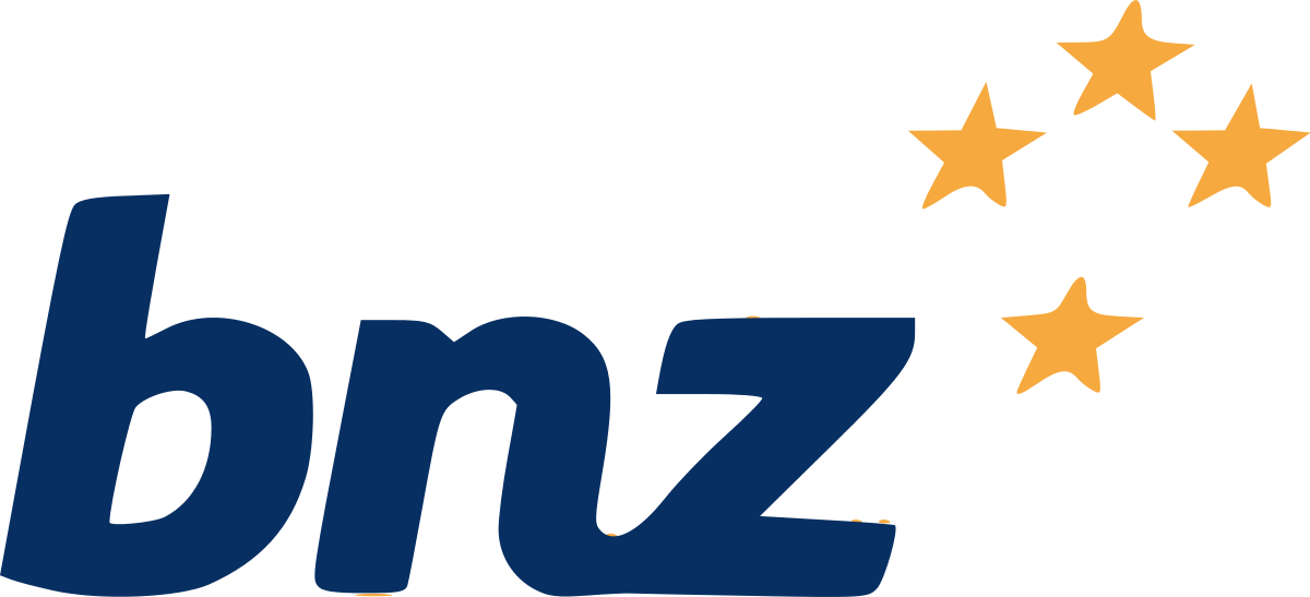 Logo with the letters 'bnz' in dark blue and five gold stars arranged in a semi-circle above the letters.