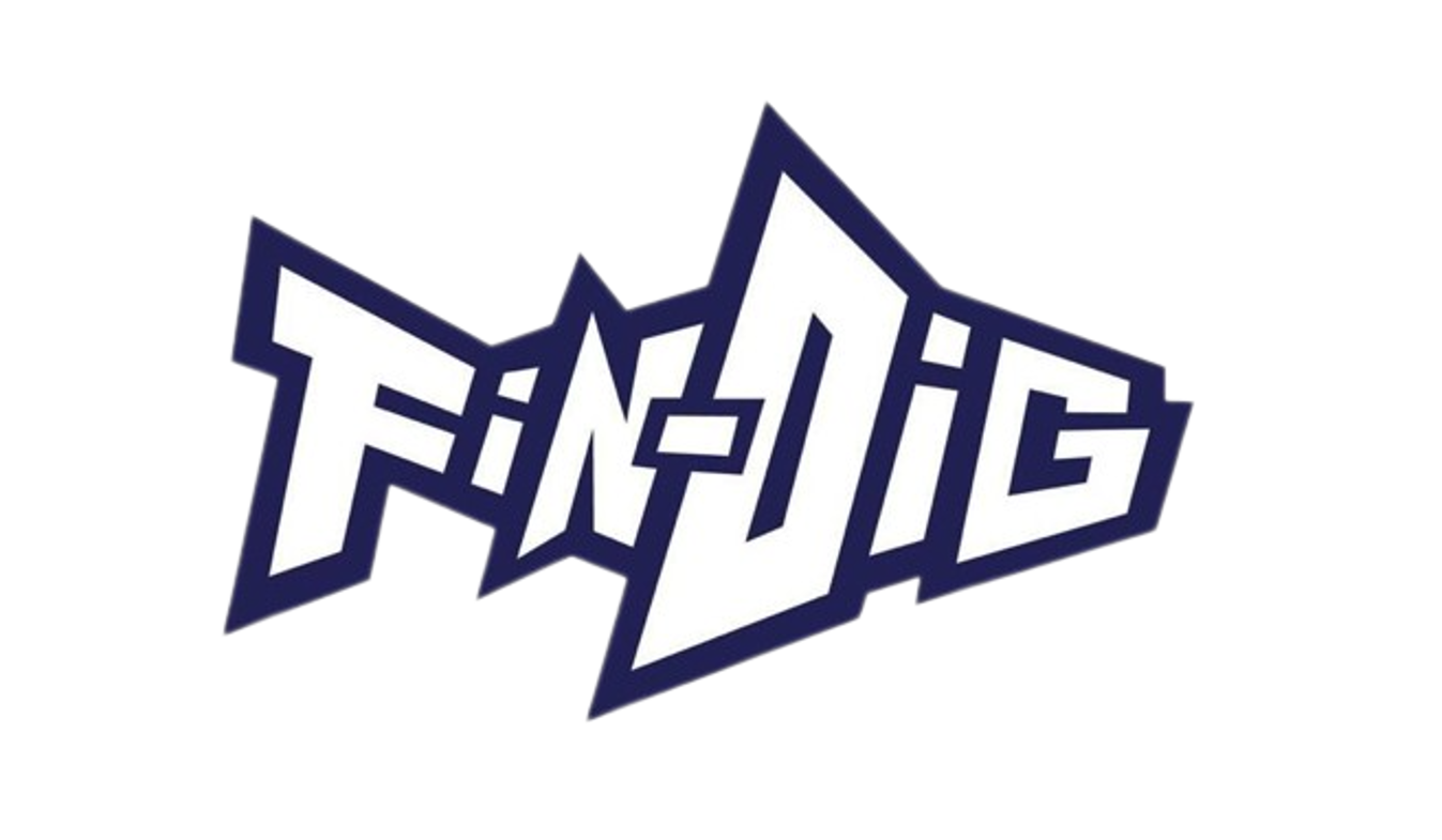 FIN-DIG 2025
