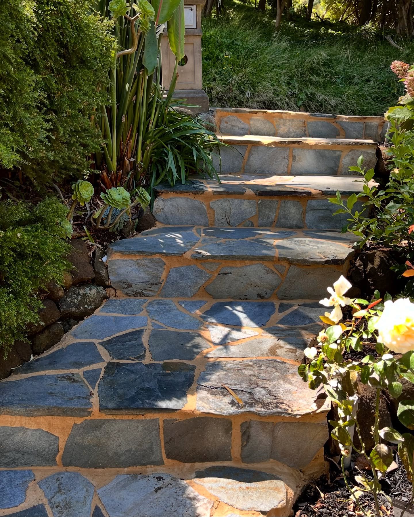 Belgrave Front Steps Makeover 🌿✨

Tucked away in the heart of the Dandenong Ranges, this Belgrave property now boasts a beautifully organic entrance. We designed a curved crazy-paved path that gently meanders toward the front door, replacing the out