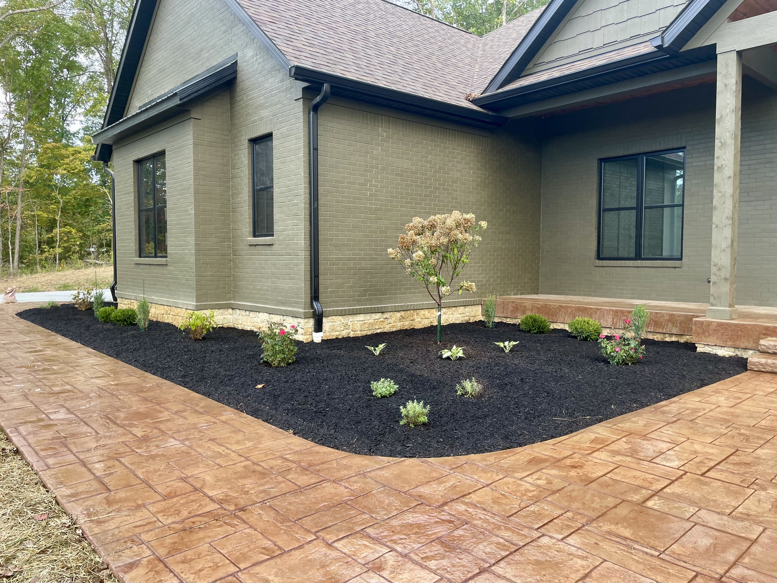 Newly landscaped backyard of a house with a brick exterior, black-framed windows, and a colored concrete patio. The yard features small shrubs, a young tree, and fresh mulch.