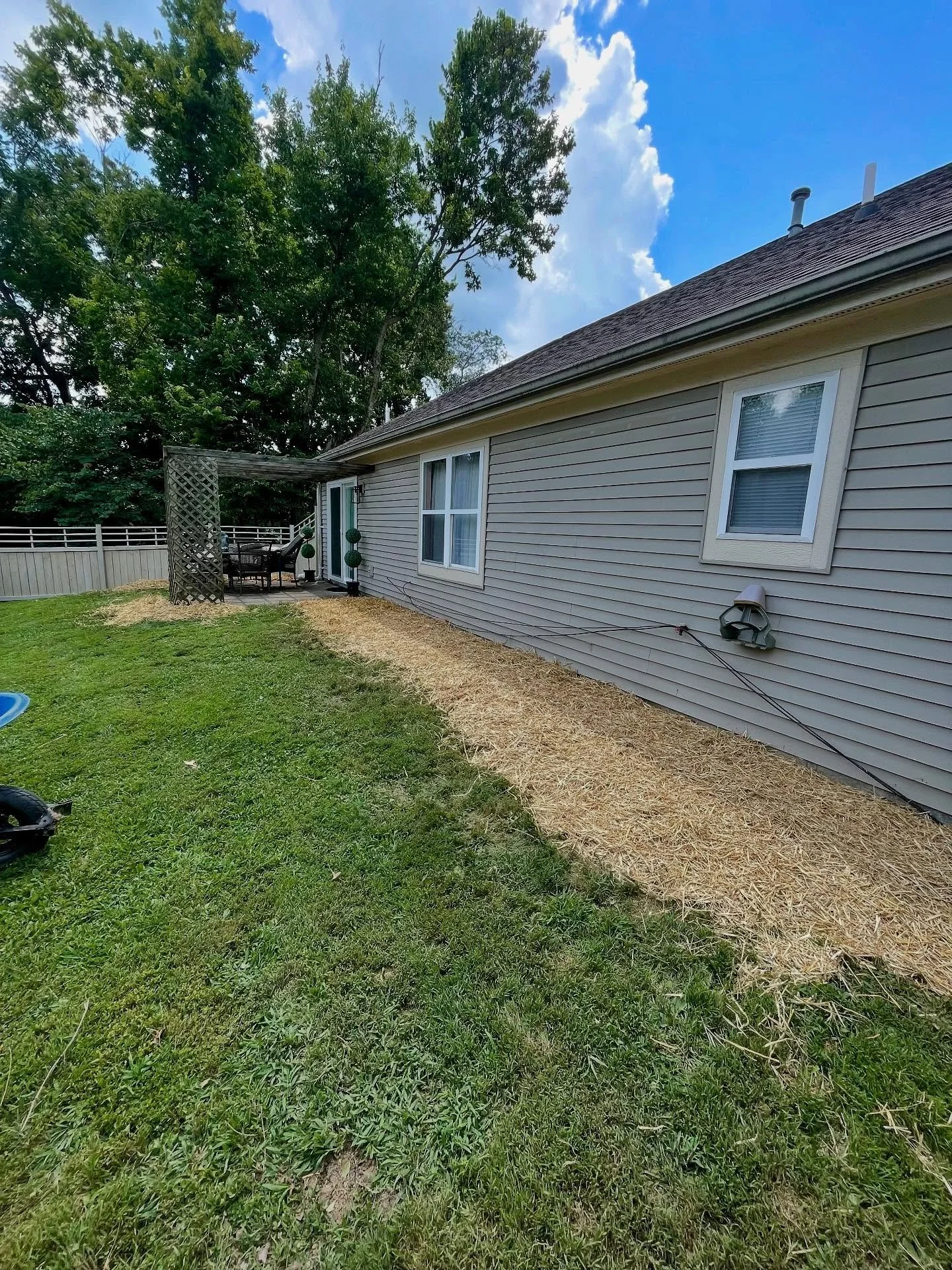 Cleared out toxic plants and heavy groundcover. Seeded and protected with straw for a fresh start. #lawn #landscaping #seed