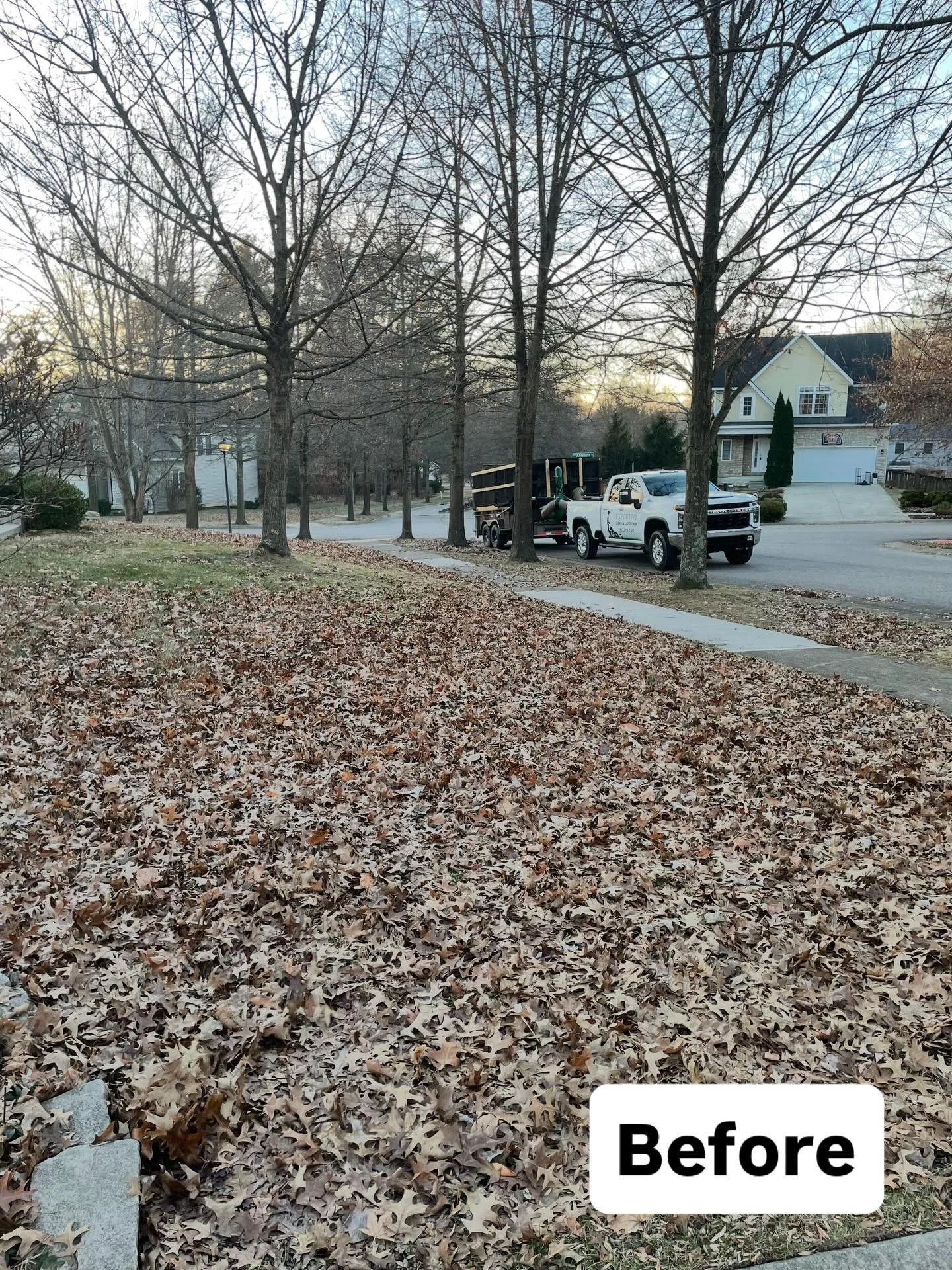 We make lawns&hellip;✨spotless✨#leafremoval #spotless #lawncare