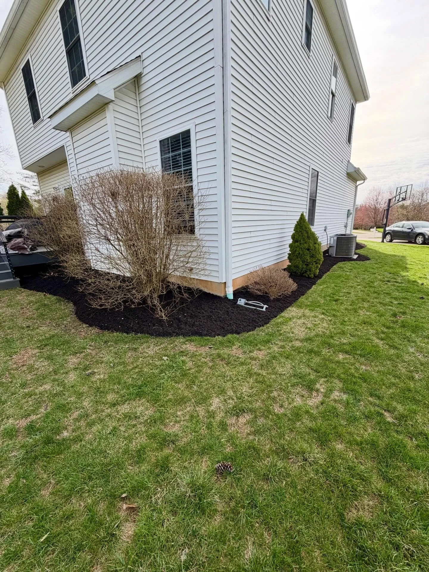 Executive Lawn Care is in Bloomington today installing fresh mulch and making landscapes pop! 🌿 Call us if you want your yard next.