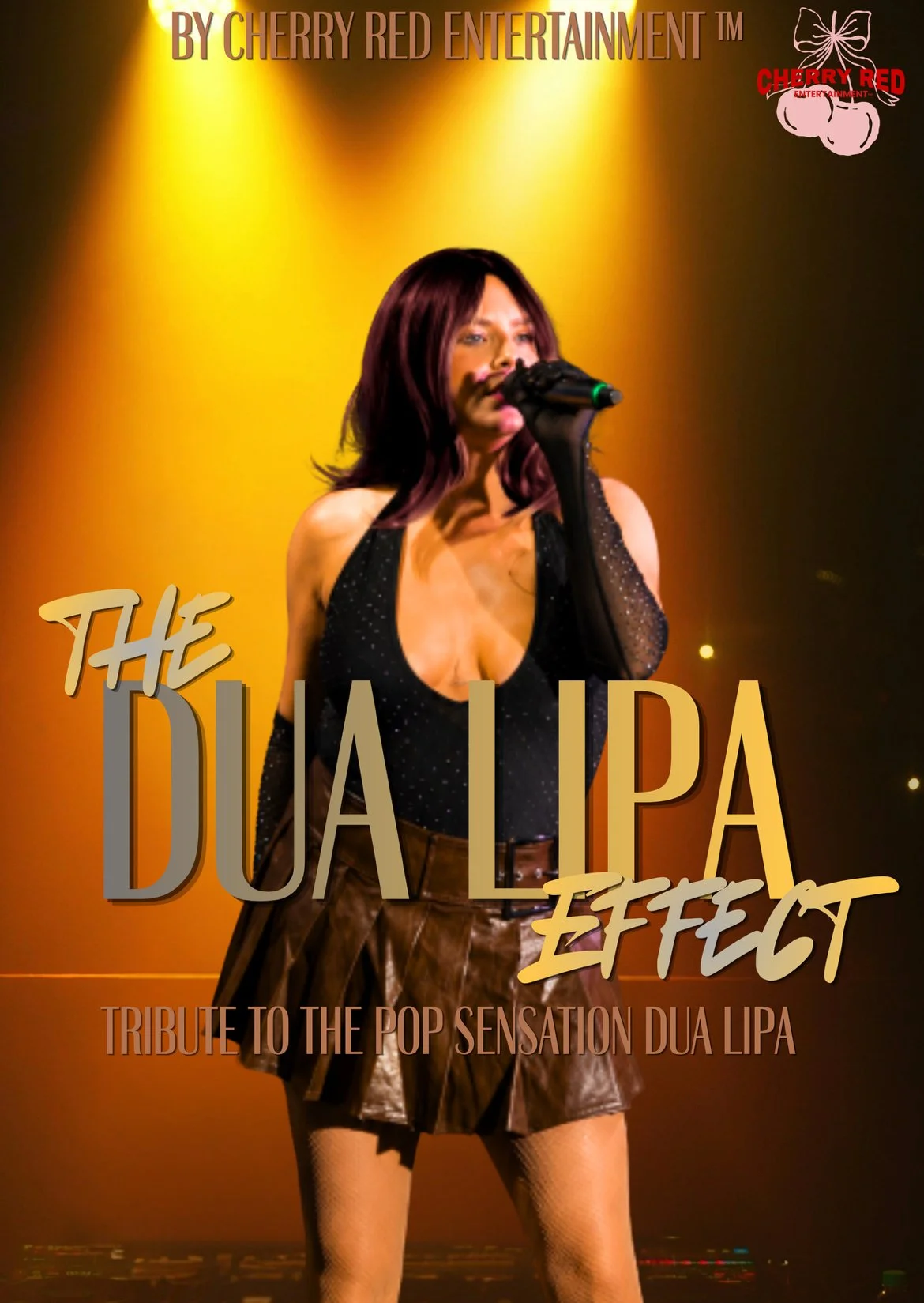 The Dua Effect is a sleek, high-energy tribute celebrating the iconic music, style and unstoppable stage presence of global pop sensation Dua Lipa. Featuring powerhouse live vocals, fierce choreography and all the glamour and confidence Dua is known 