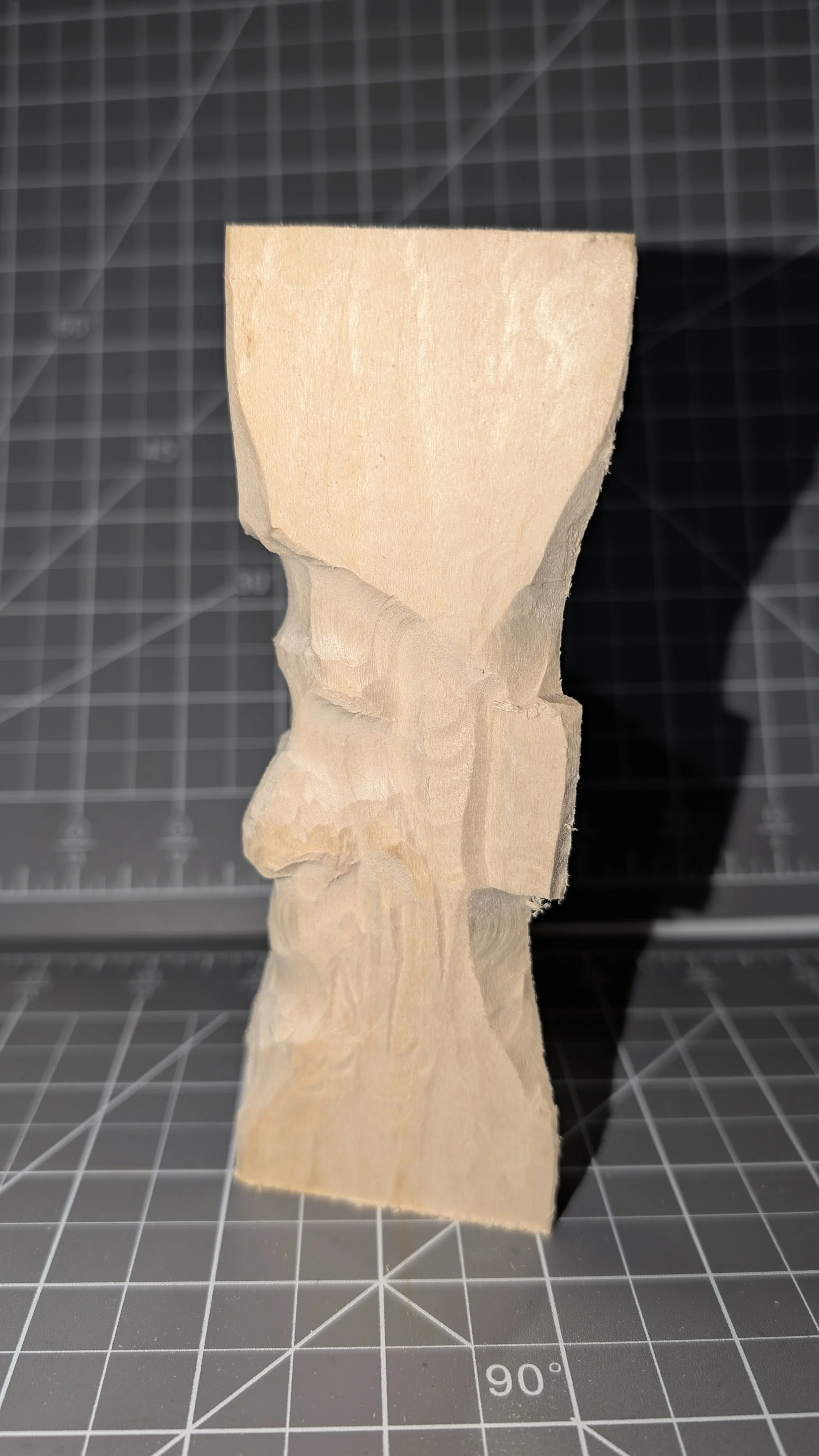 PXL_20260306_010740500.jpg (Copy)