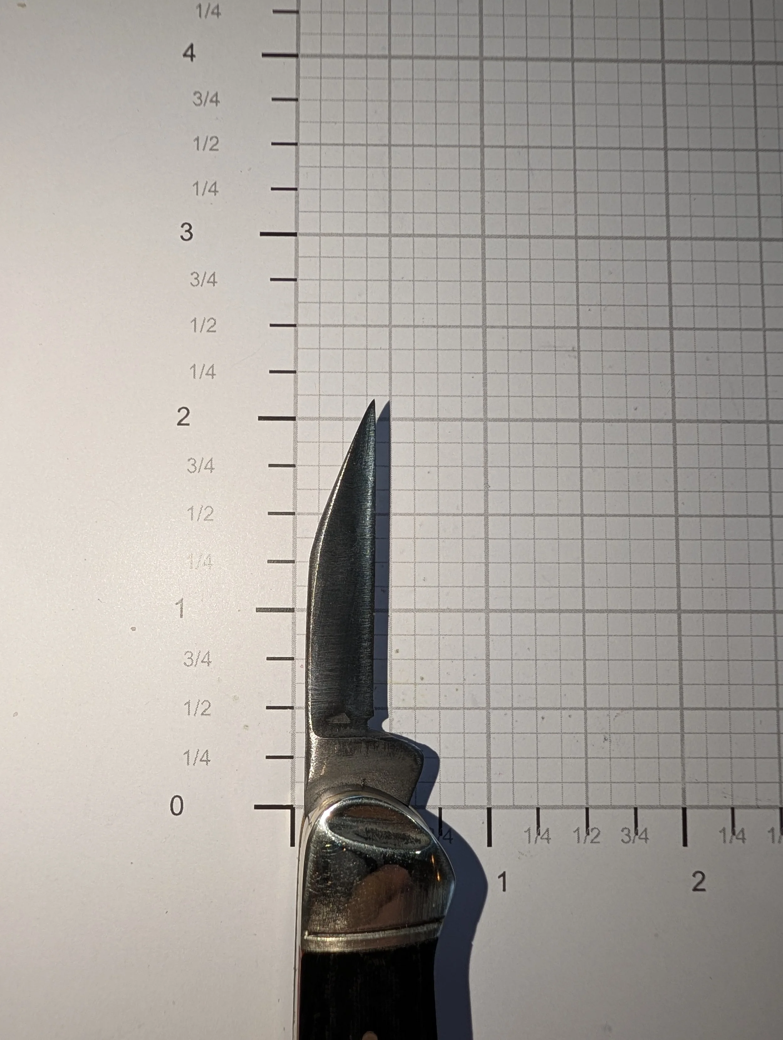 PXL_20260328_231206627 (2).jpg