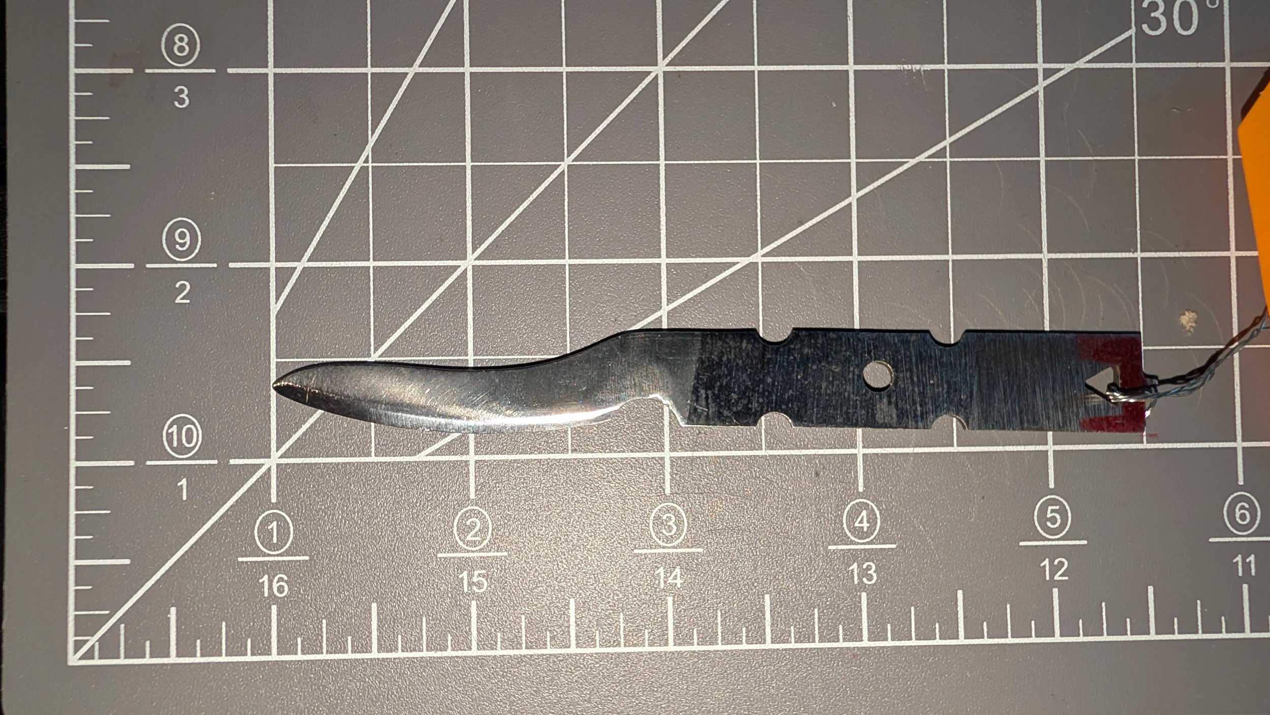 PXL_20260323_234839632.jpg (Copy)