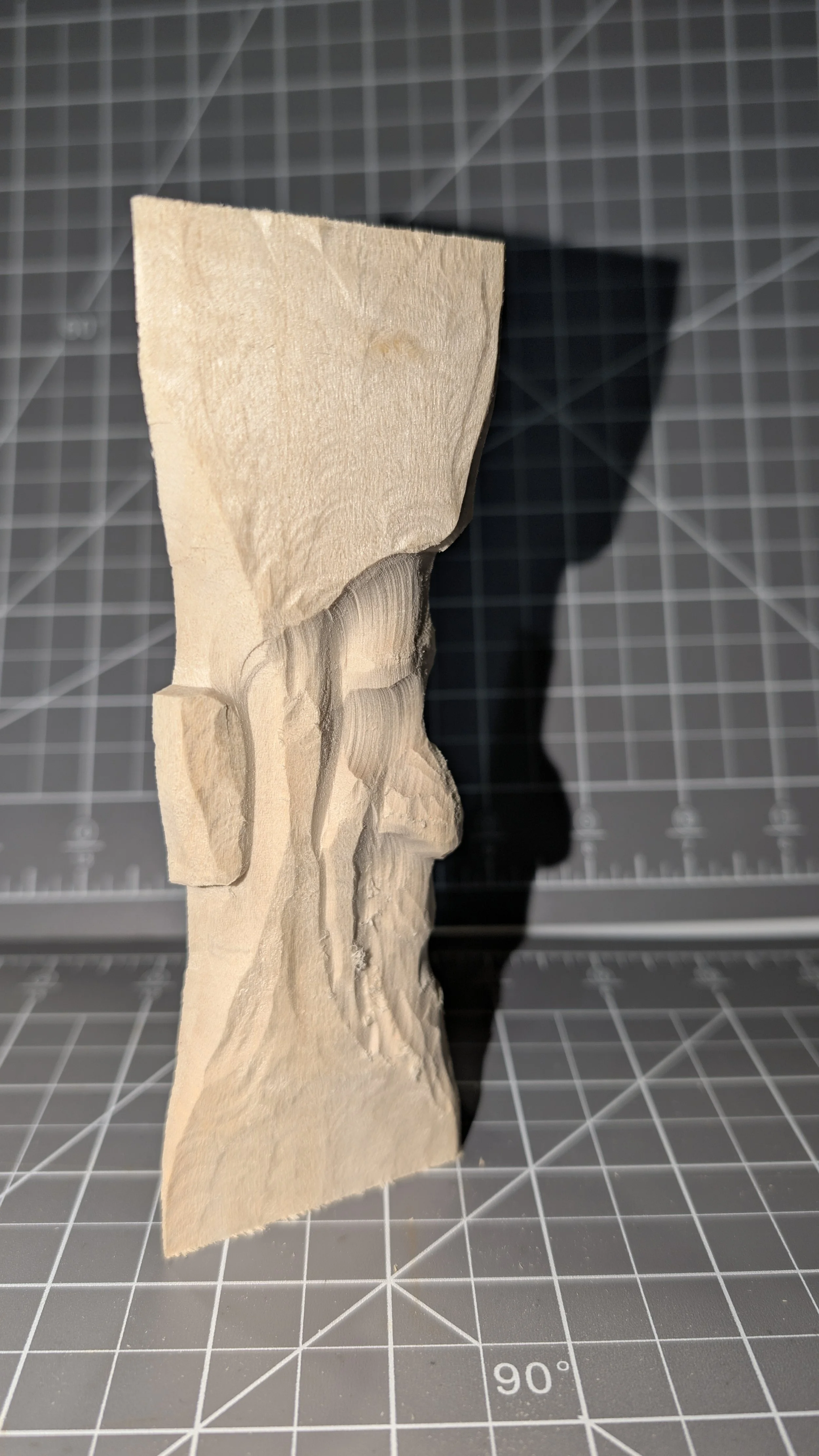 PXL_20260306_010748647.jpg (Copy)