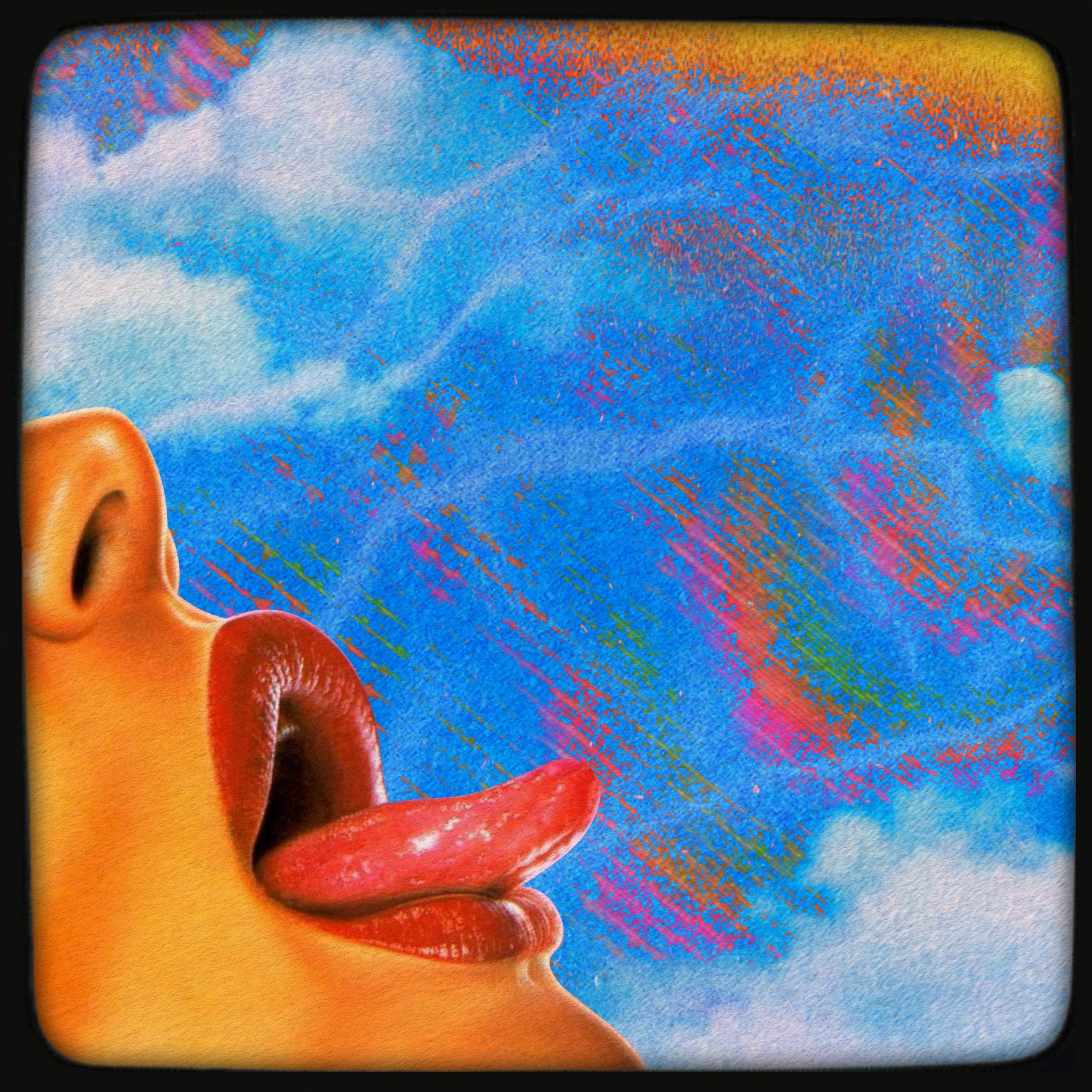 the carnal carnivore | december 2025 