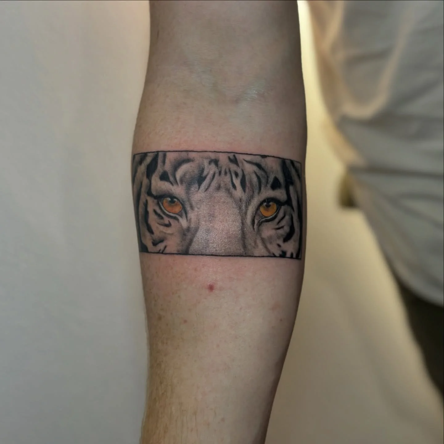 Really proud of this one🥹 so far out of my comfort zone but I actually LOVED it!! 

Shoutout to Brad for the trust with this❤️

Ink- @dynamiccolor 
Balm- @tigerspitbalm 
Supplied by- @magnumtattoosupplies 

#tattooartist #femaletattooartist #magnumt