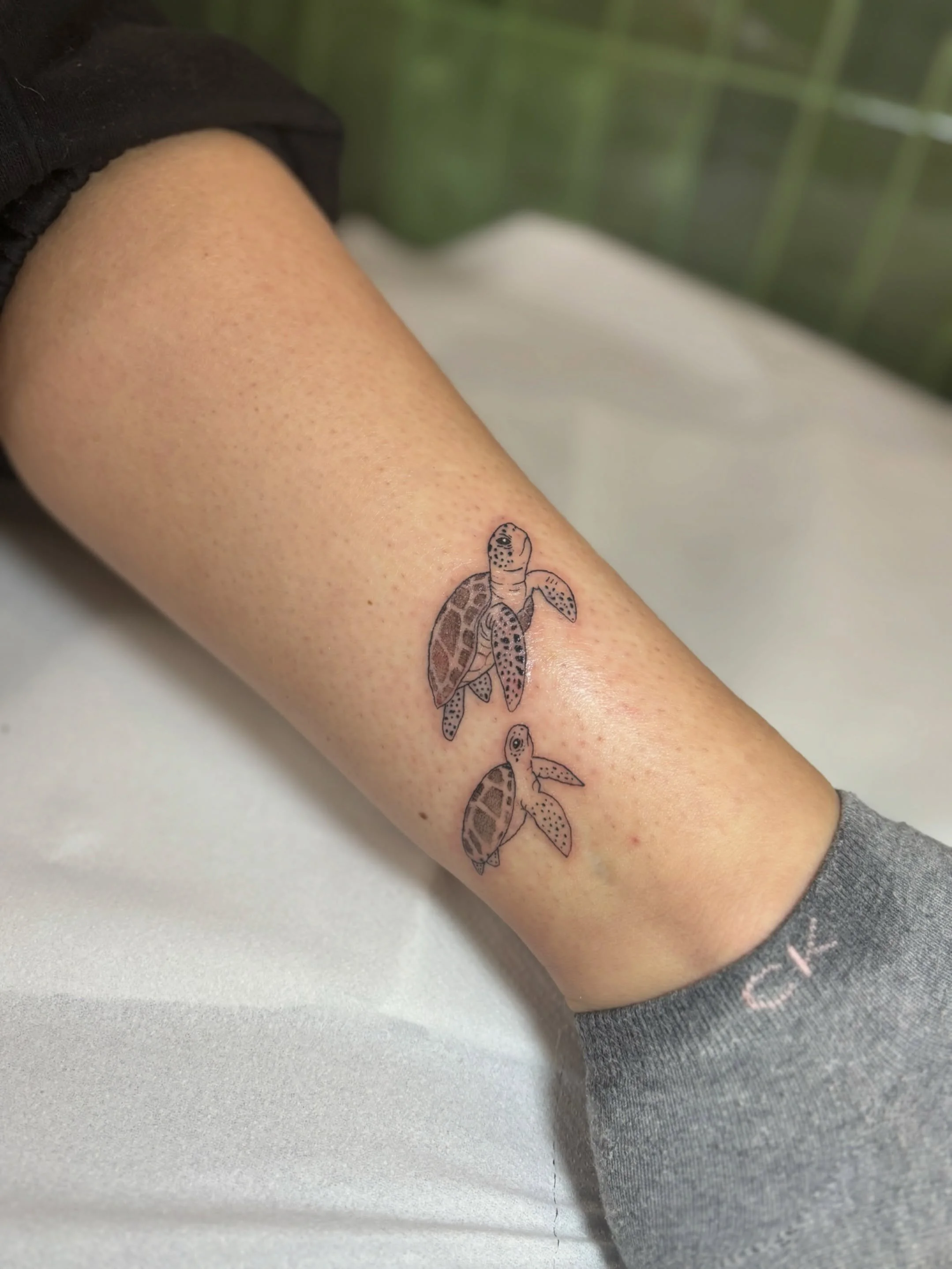 Lil guys for Mia 🐢

Cartridges- @peachcartridge 
Ink- @dynamiccolor 
Balm- @butterluxe_uk 
Supplied by- @magnumtattoosupplies 

#tattooartist #femaletattooartist #tattoostudio #magnumtattoosupplies #legtattoo