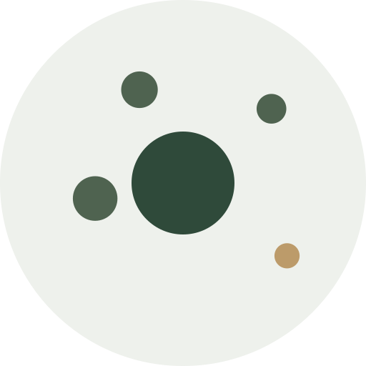 A white circular surface with five circular objects of different sizes and colours spiralling up and away.