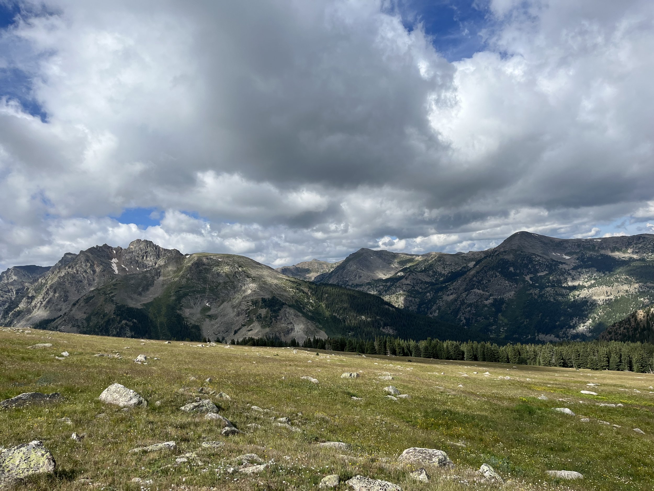 Old Time Outfitting high country hunt Colorado