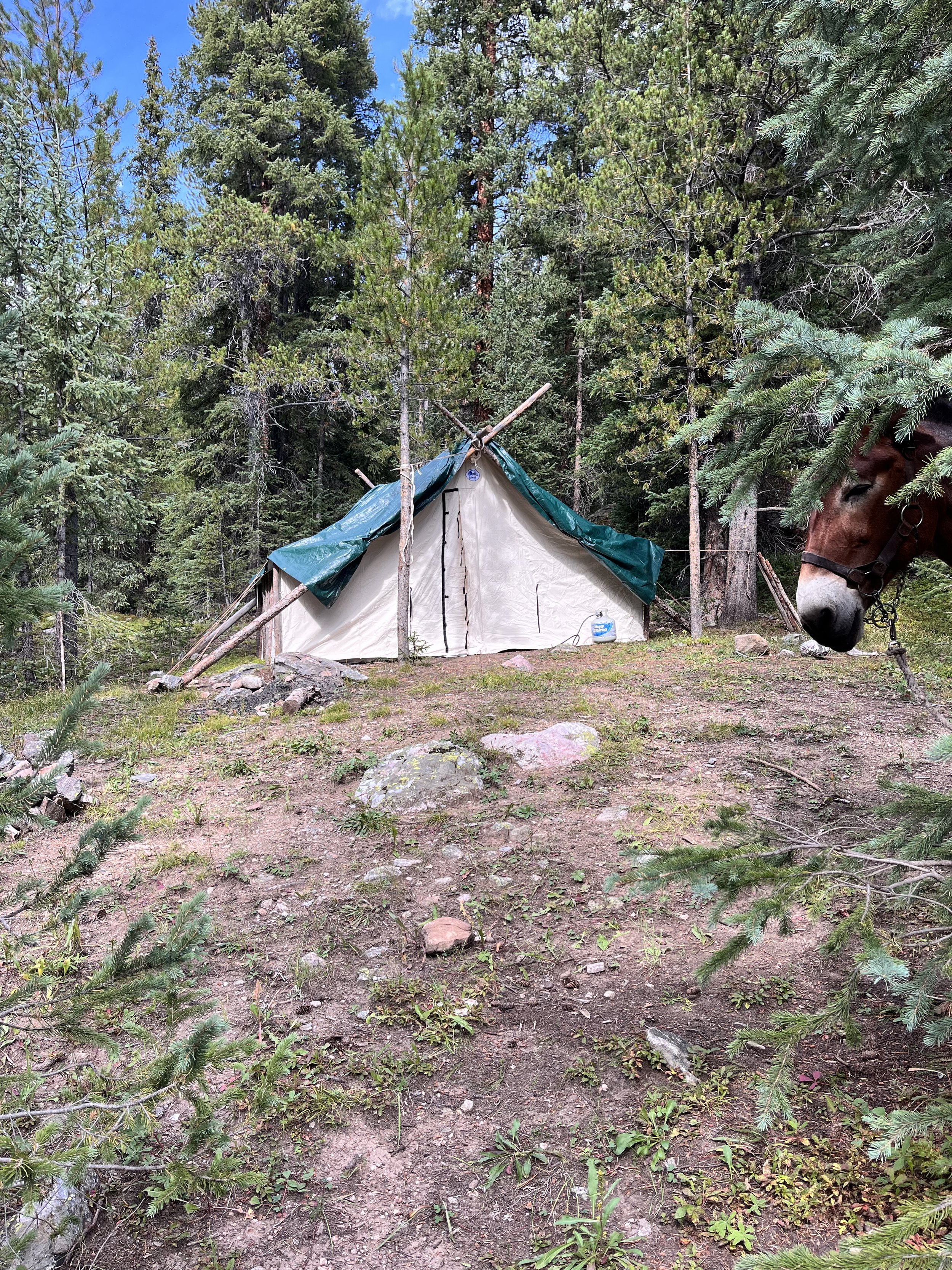 elk drop camp, Old Time Outfitting