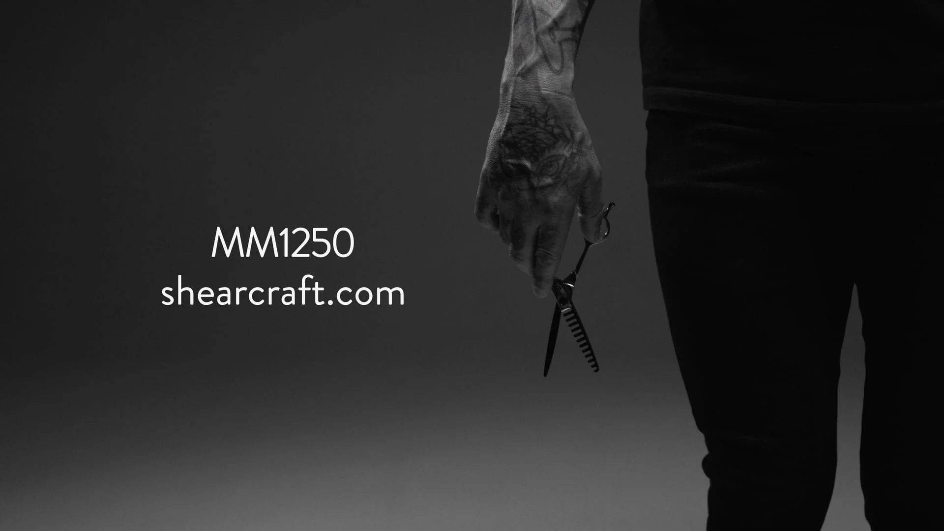 MM1250 Product Video