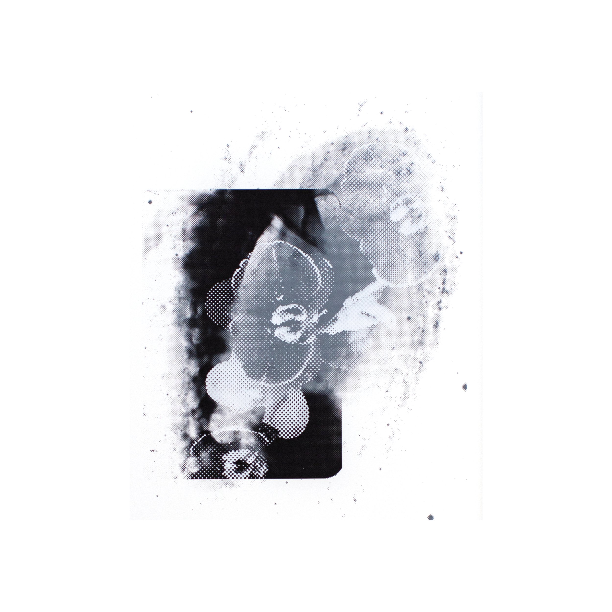 Close-up matted cosmic art print halftoned X-ray M 81 flowers effloresced skeletal nature