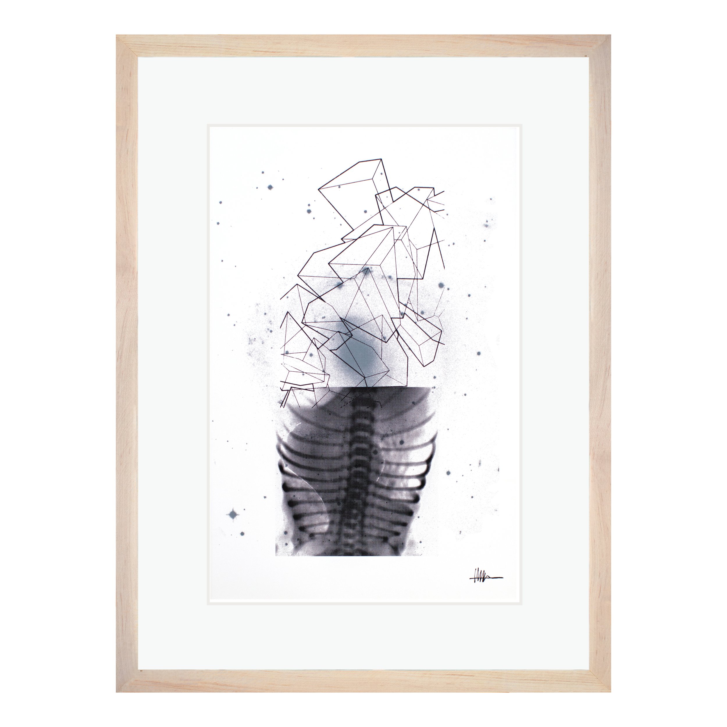 Framed cosmic art maple frame halftoned heart X-ray NGC 2217 cubes crystallized gallery crumpled galactic anatomical compressed