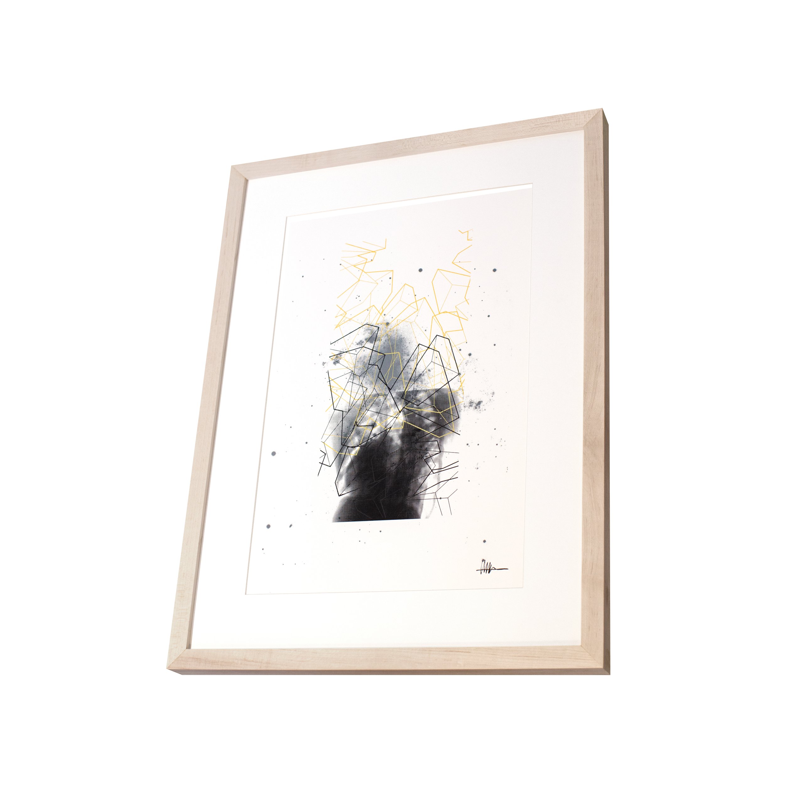 Perspective framed cosmic art maple frame halftoned heart X-ray NGC 1313 cubes crystallized gallery shattered astral anatomical broken