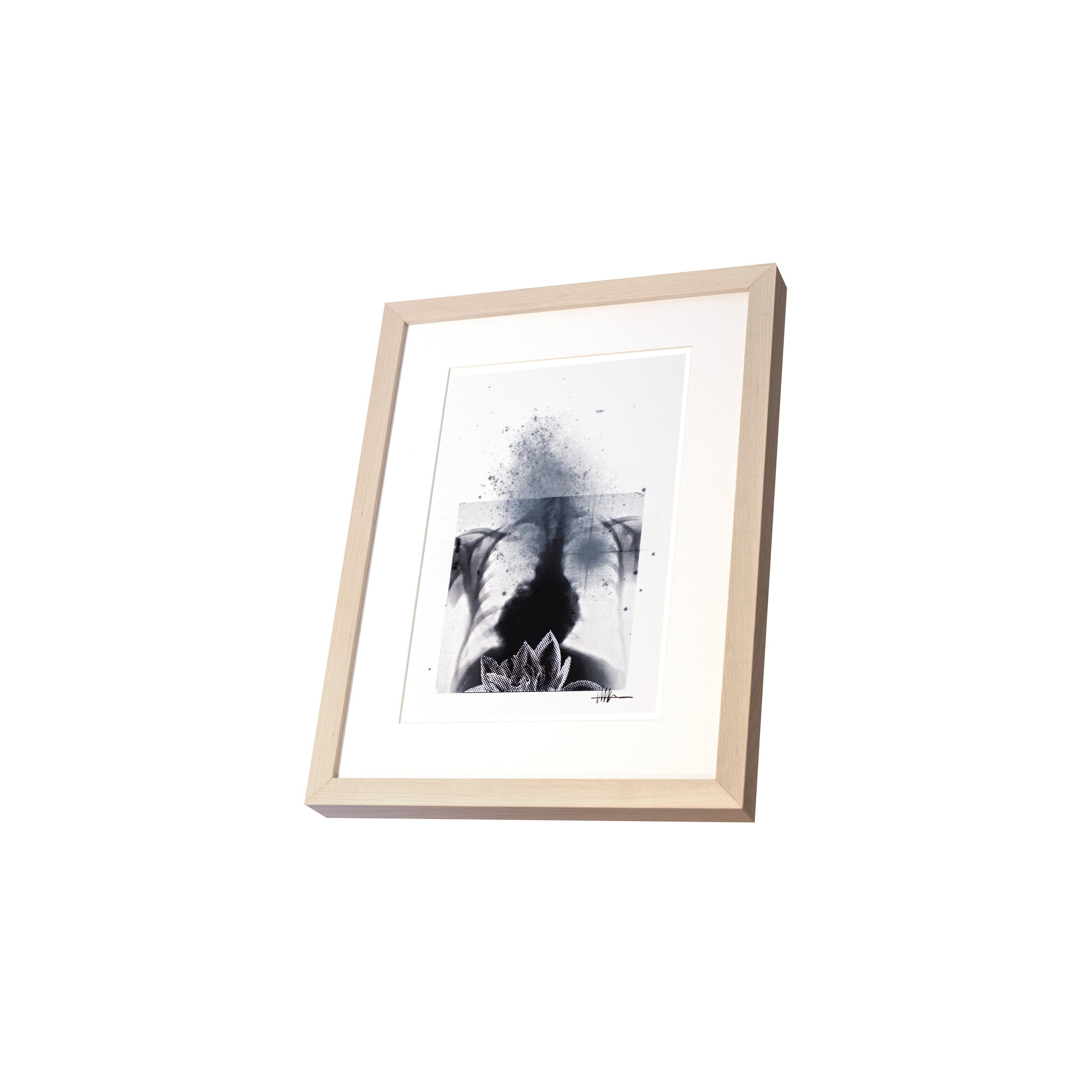 Perspective framed floral art maple frame halftoned heart X-ray IC 5152 flowers effloresced gallery chaotic astral botanical dynamic