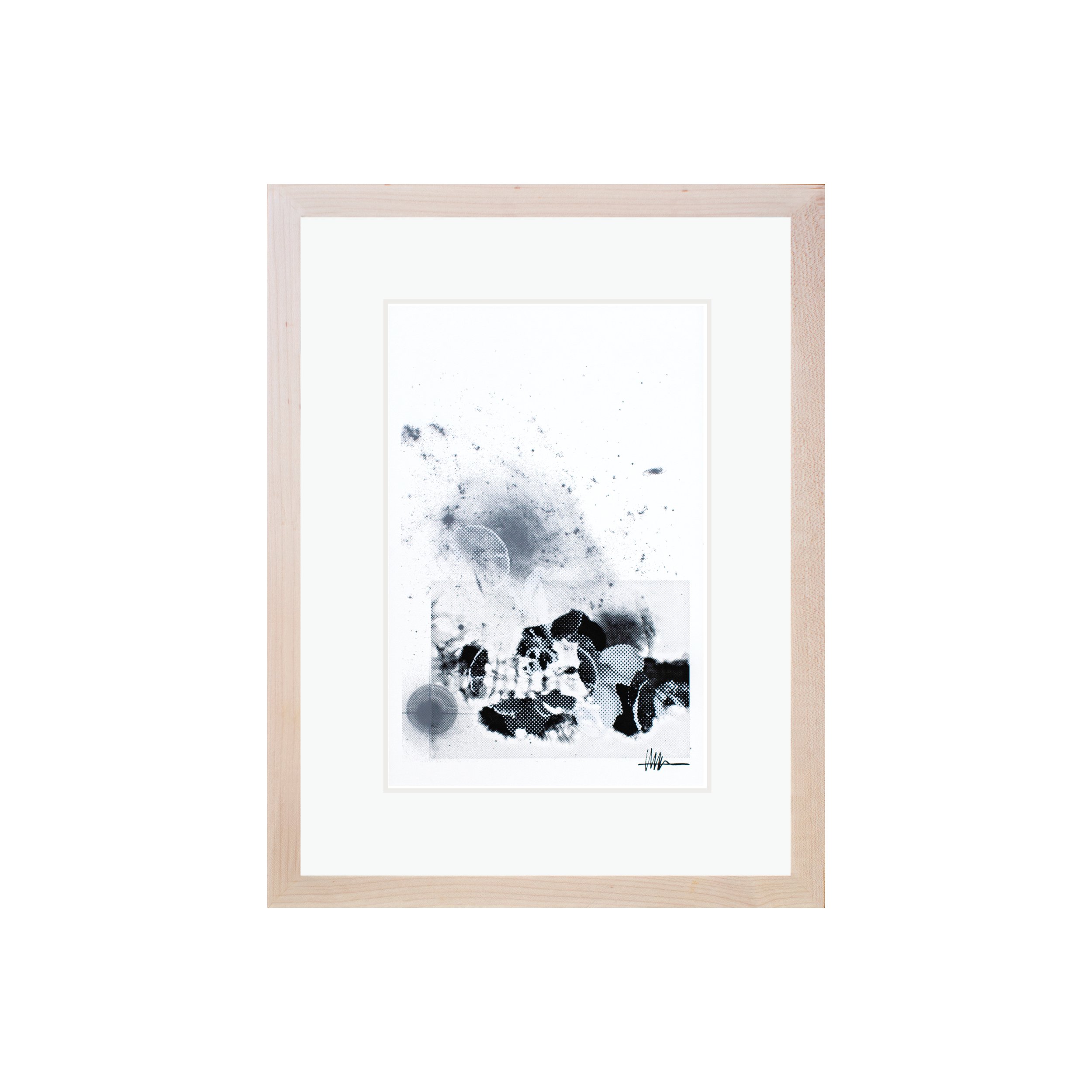Framed floral art maple frame halftoned scleroderma X-ray NGC 45 flowers effloresced gallery solidified stellar botanical static