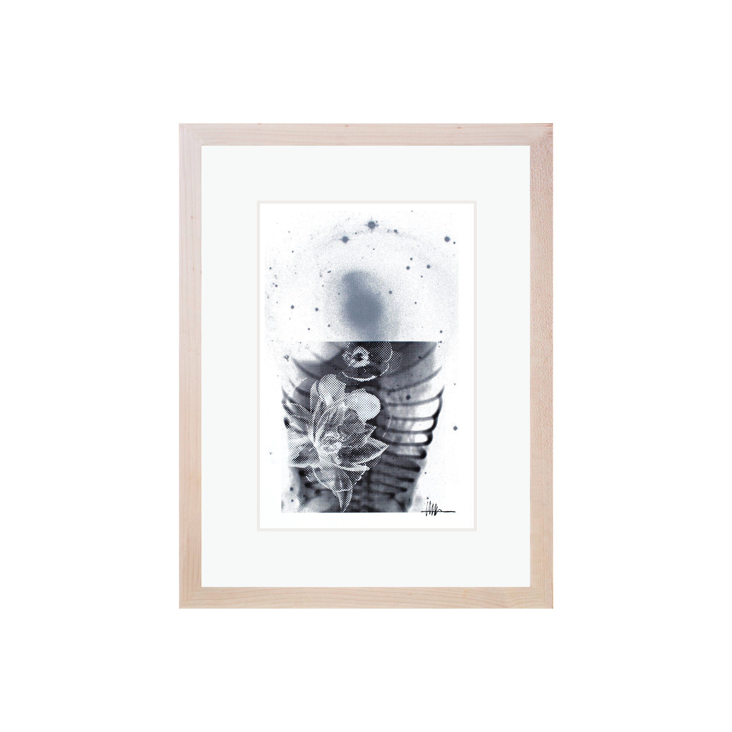 Framed floral art maple frame halftoned heart X-ray NGC 2217 flowers effloresced gallery crumpled galactic botanical compressed