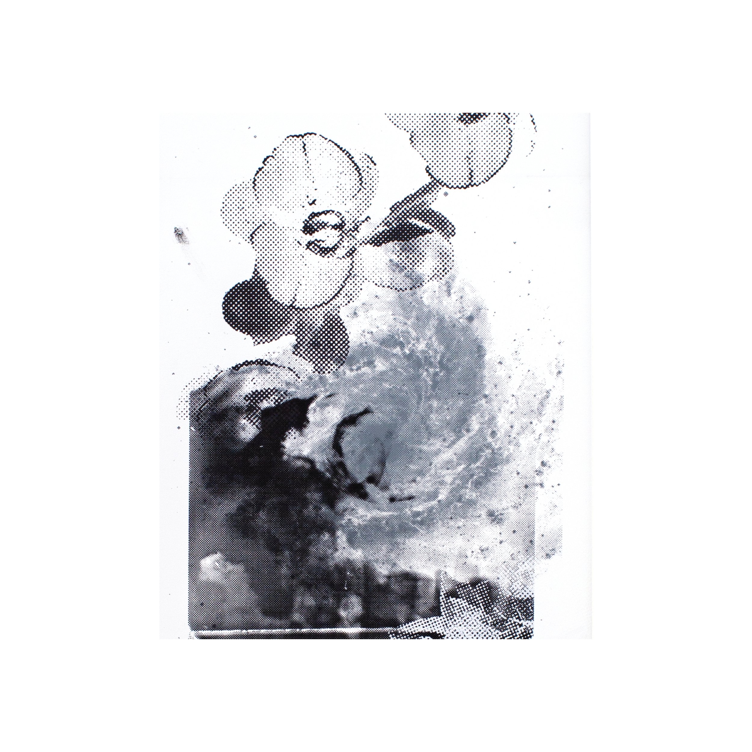 Close-up matted print cosmic art halftoned X-ray M83 silk-screened flowers flowered gallery affordable contemporary abstract spiral nature stellar anatomical innovative