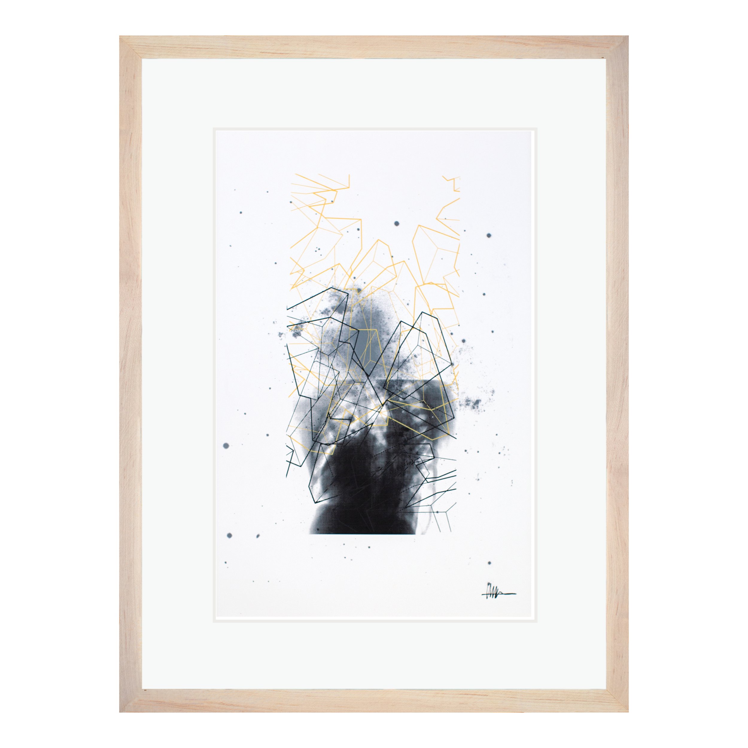 Framed cosmic art maple frame halftoned heart X-ray NGC 1313 cubes crystallized gallery fractured astral anatomical ruptured