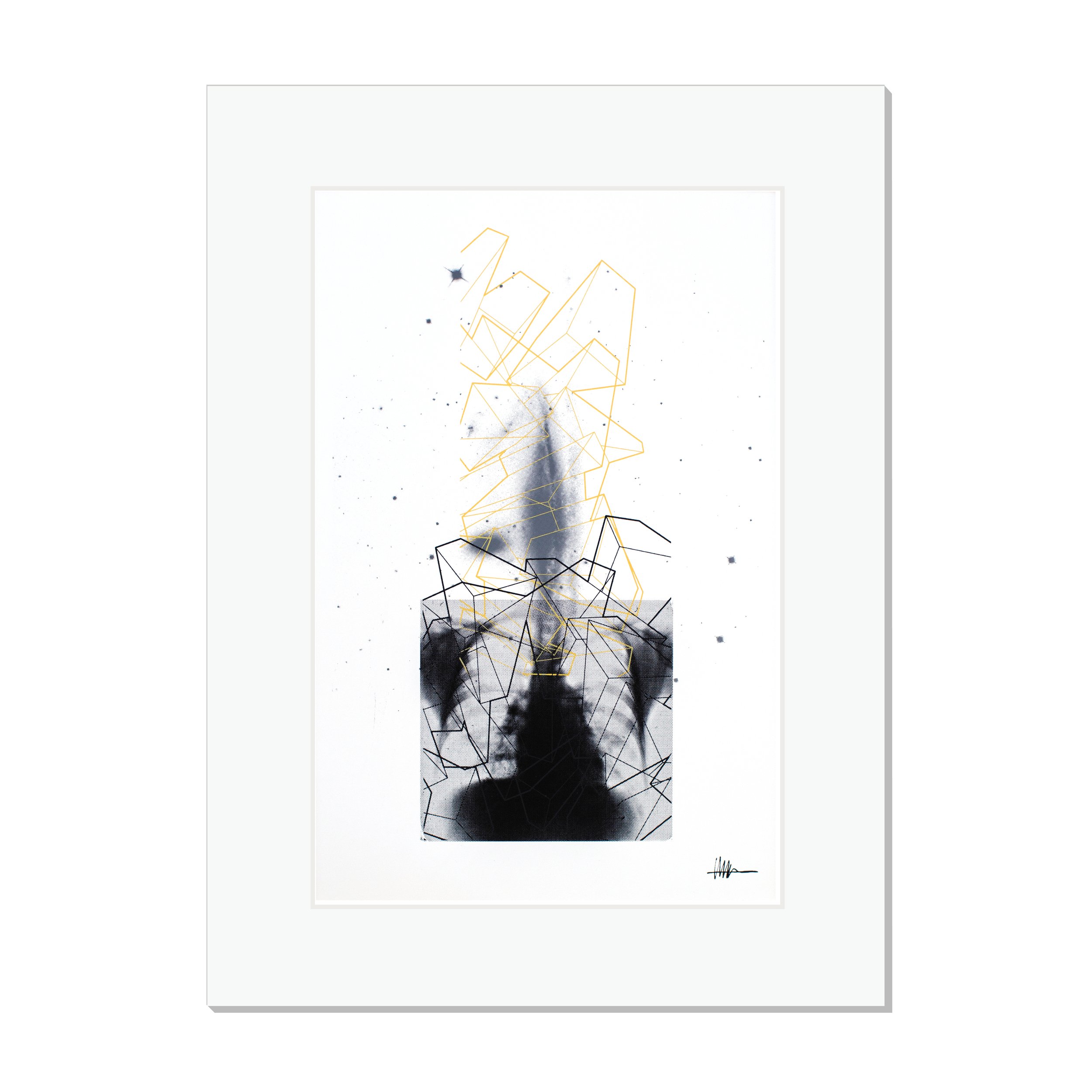 Matted cosmic print halftoned mitral X-ray NGC 1531/1532 cubes crystallized gallery tidal cosmic anatomical surging