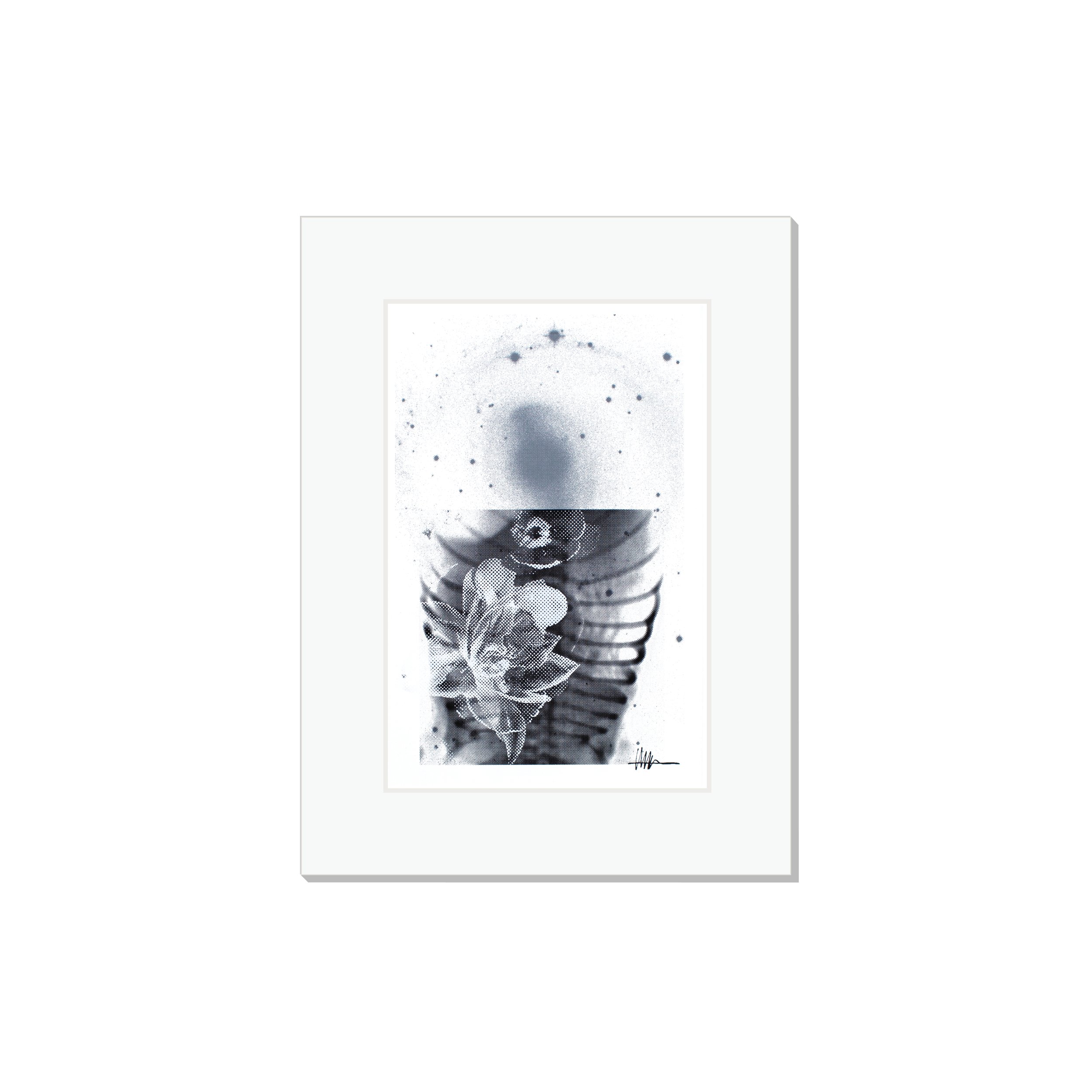 Matted cosmic art print halftoned heart disease X-ray NGC 2217 flowers effloresced gallery affordable collapsed nature