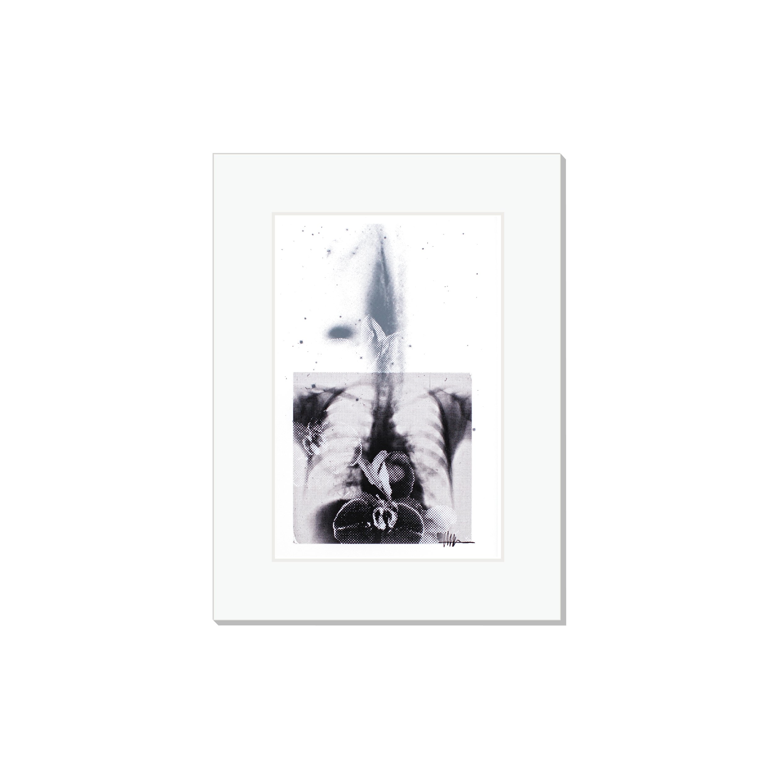Matted cosmic art print halftoned mitral X-ray NGC 1531/1532 flowers effloresced gallery affordable tidal nature